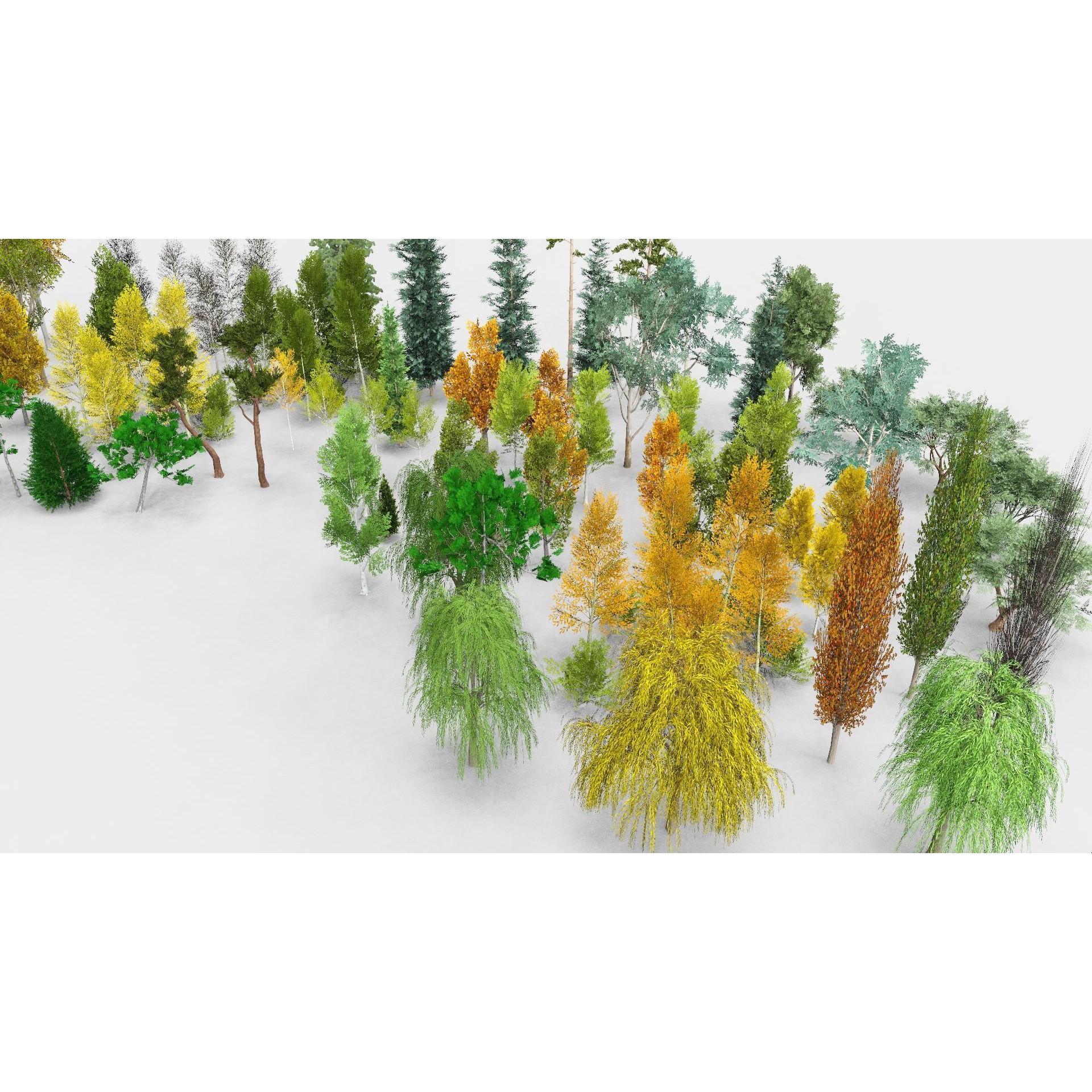Temperate Trees 3D Model – Low Poly Collection for SketchUp - View 6