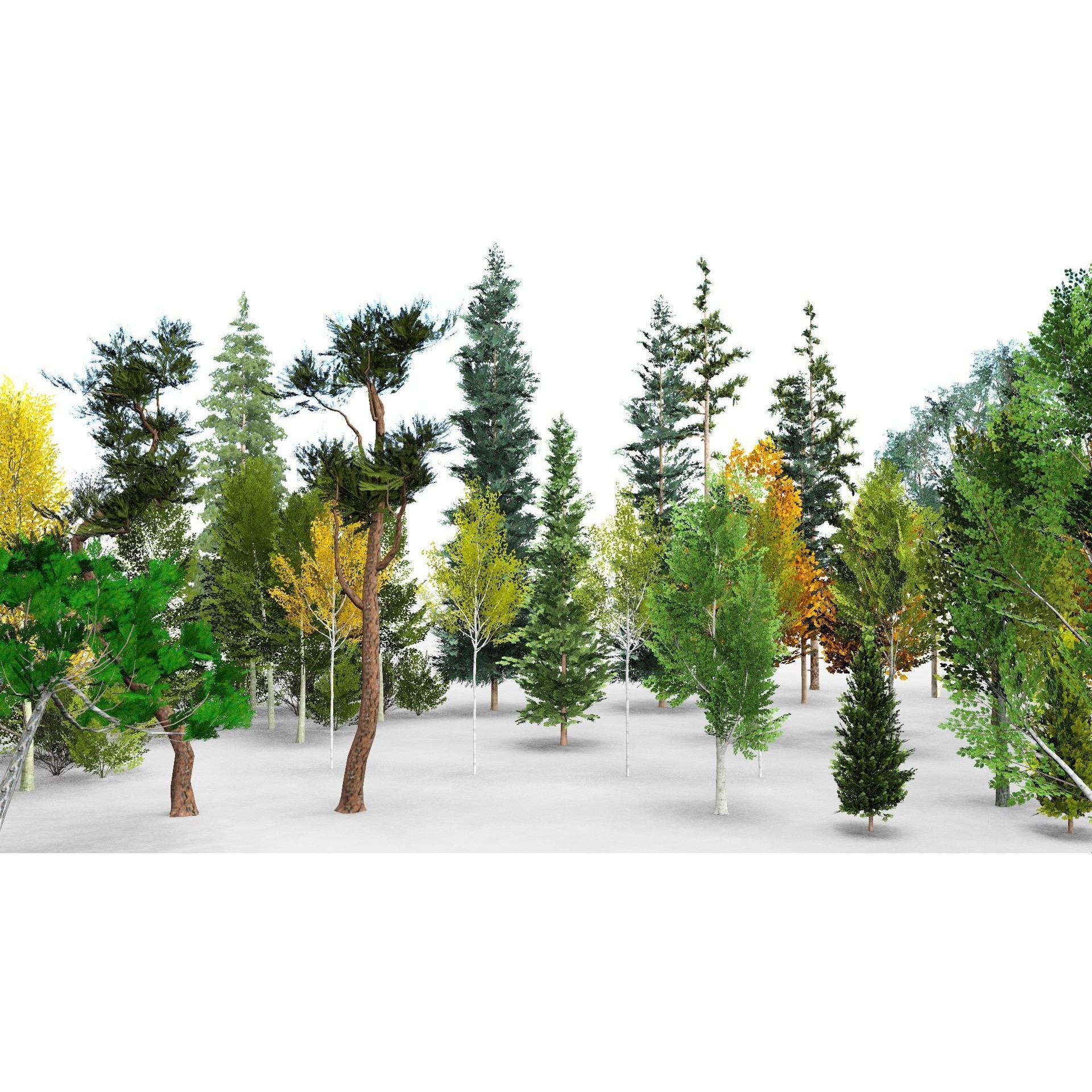 Temperate Trees 3D Model – Low Poly Collection for SketchUp - View 7