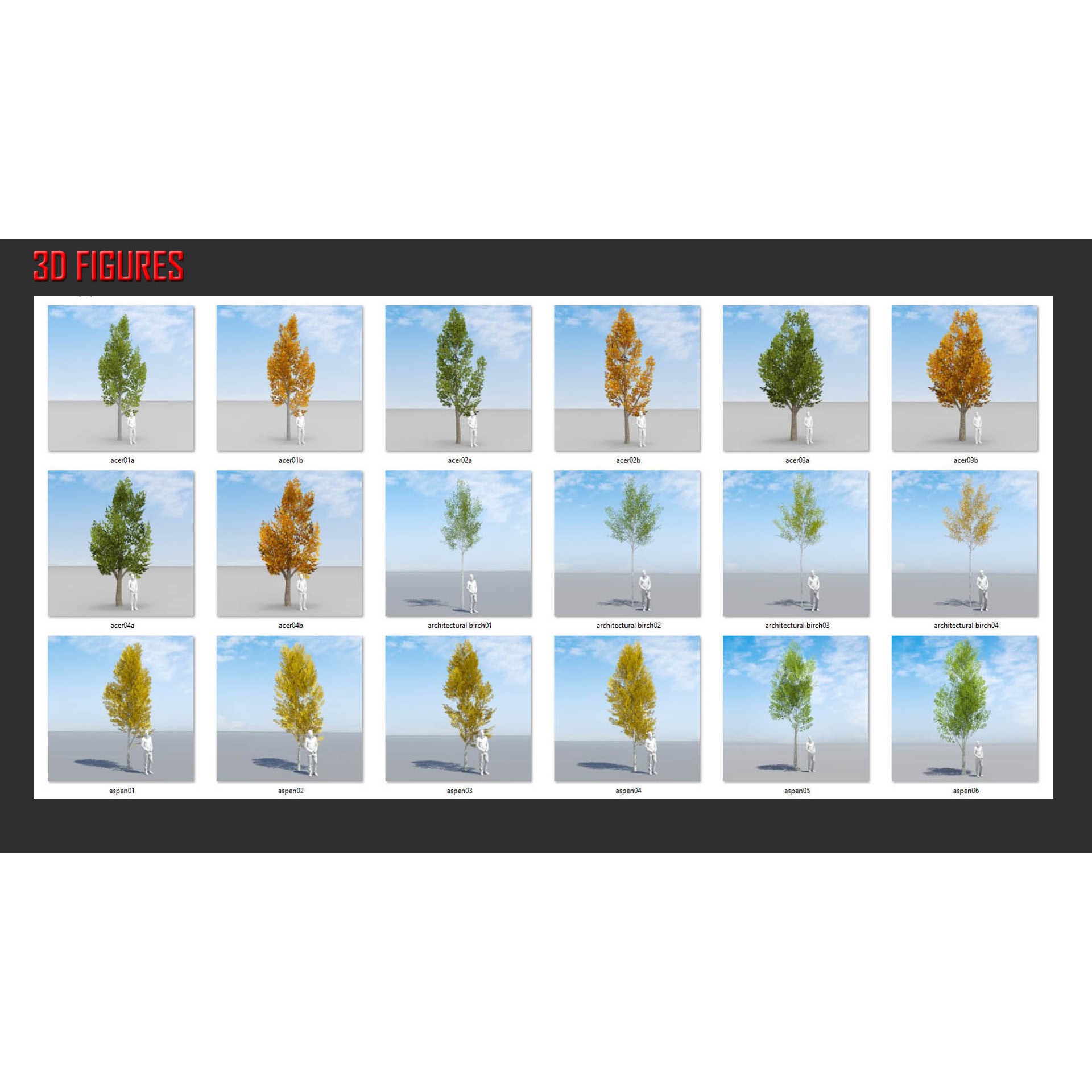 Temperate Trees 3D Model – Low Poly Collection for SketchUp - View 8