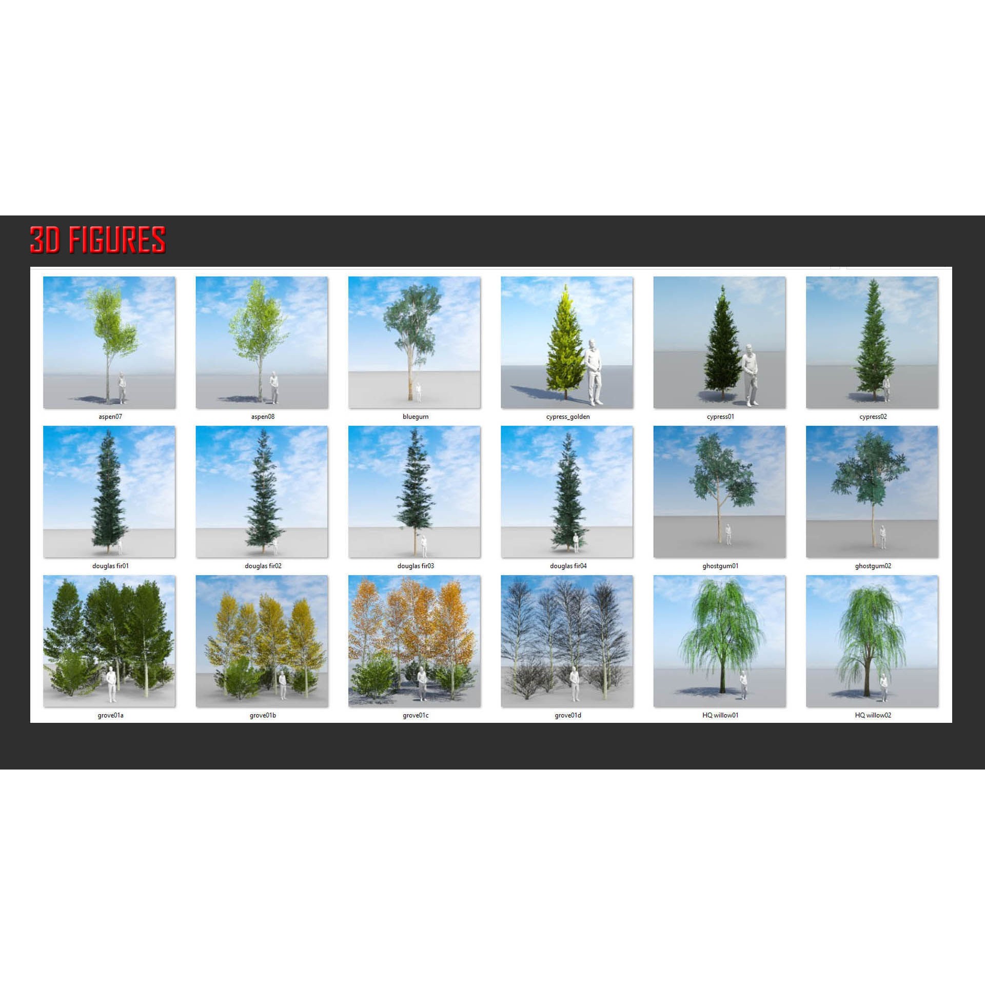Temperate Trees 3D Model – Low Poly Collection for SketchUp - View 9