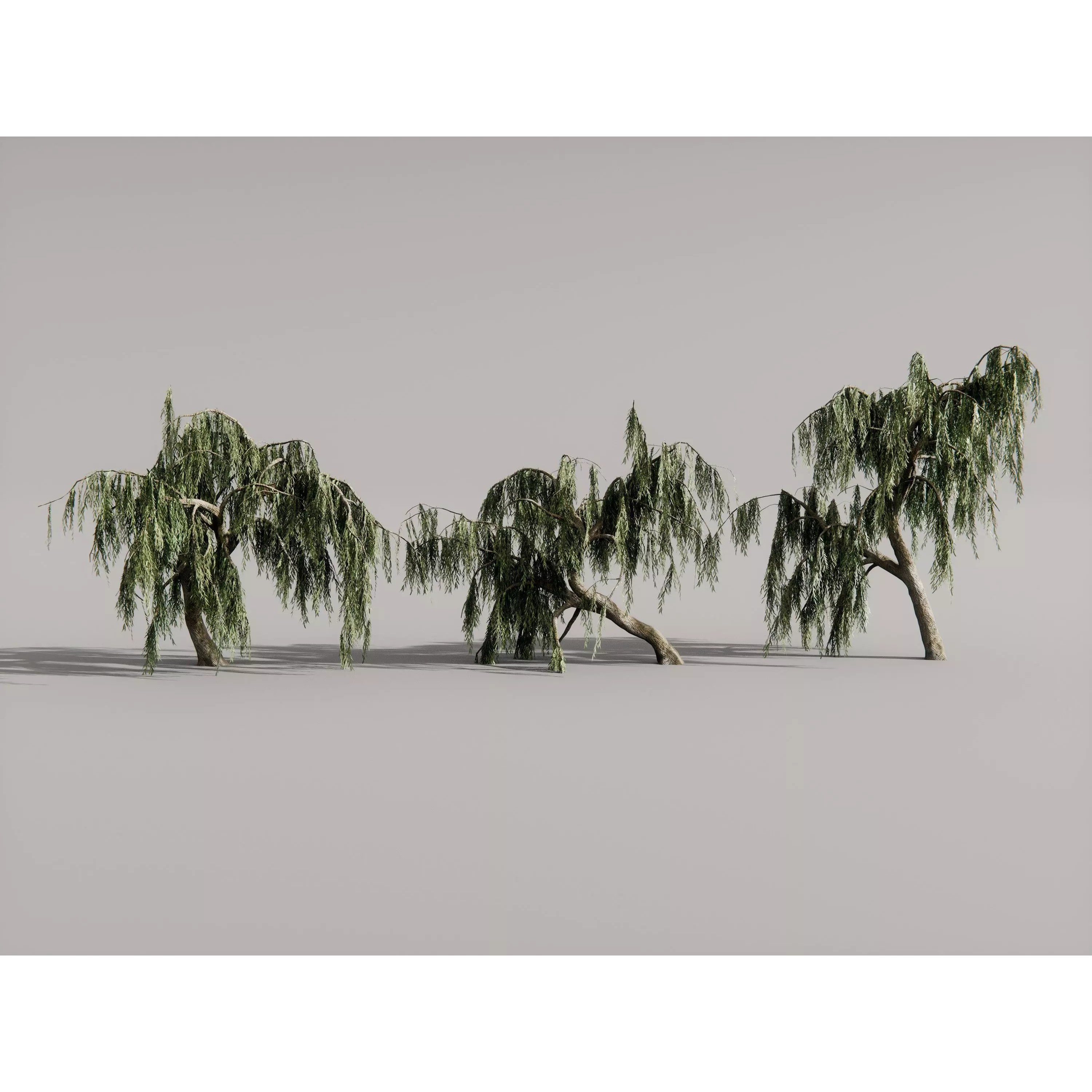 Realistic Trees 3D Model – High-Quality Asset Pack with PBR Textures - View 12