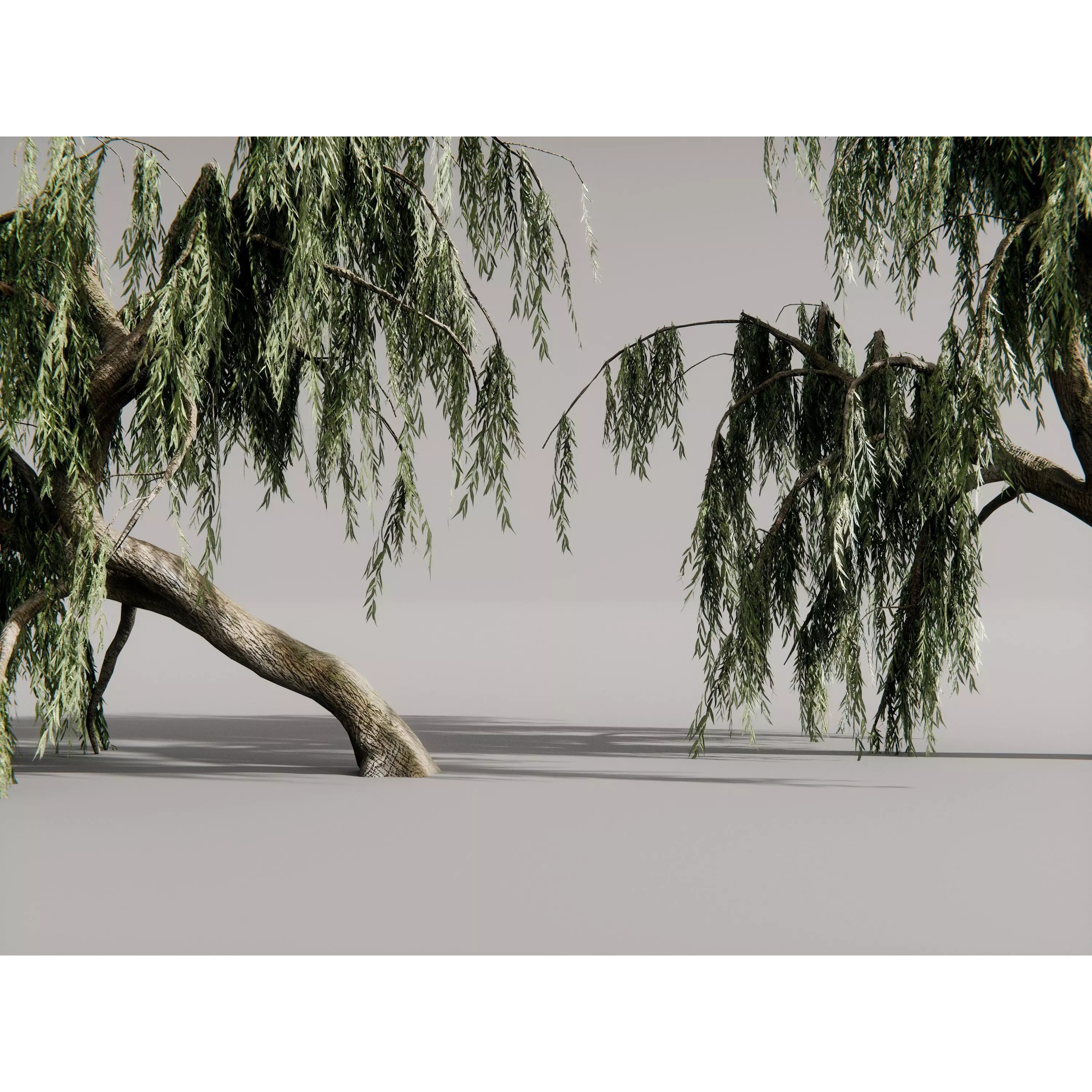 Realistic Trees 3D Model – High-Quality Asset Pack with PBR Textures - View 13