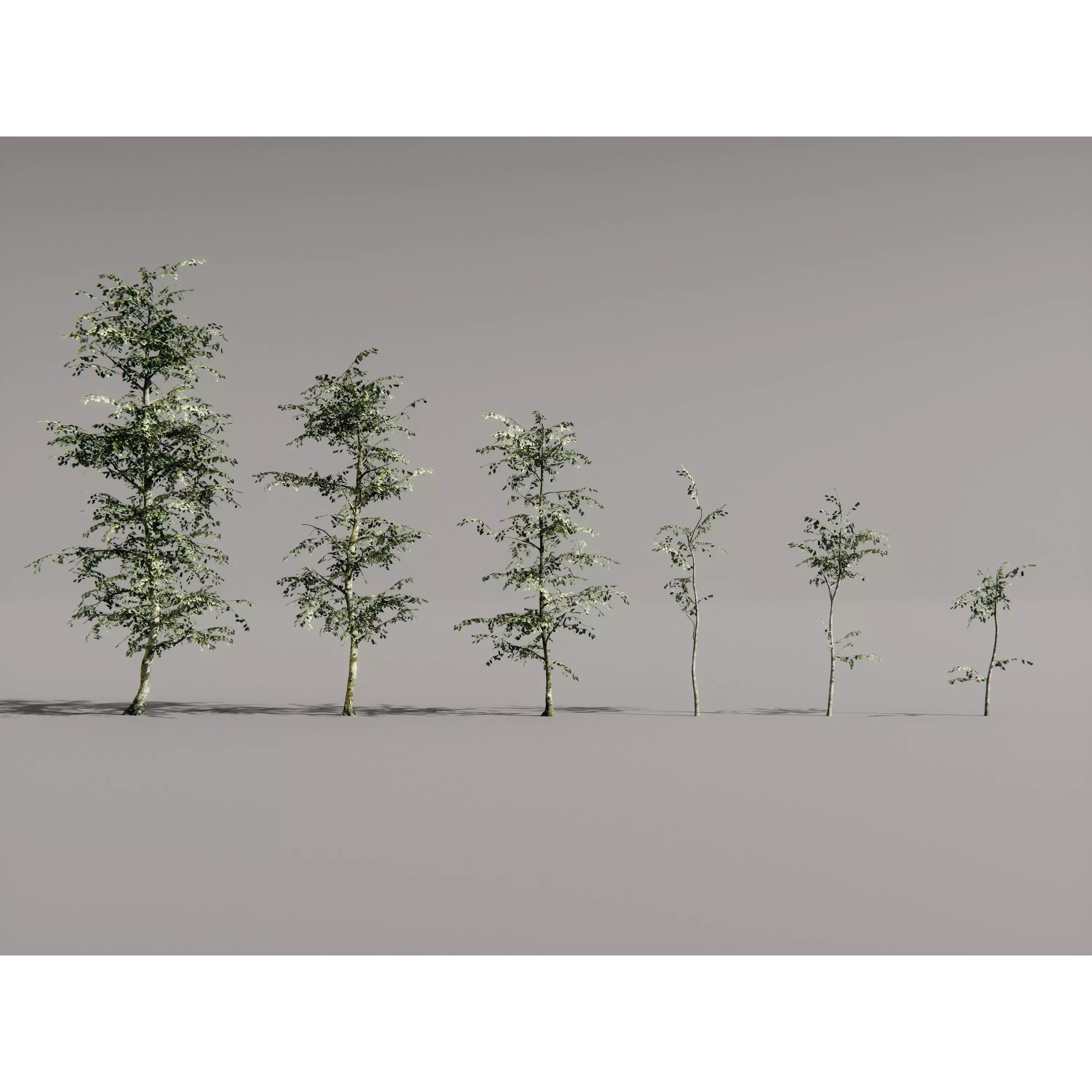 Realistic Trees 3D Model – High-Quality Asset Pack with PBR Textures - View 14