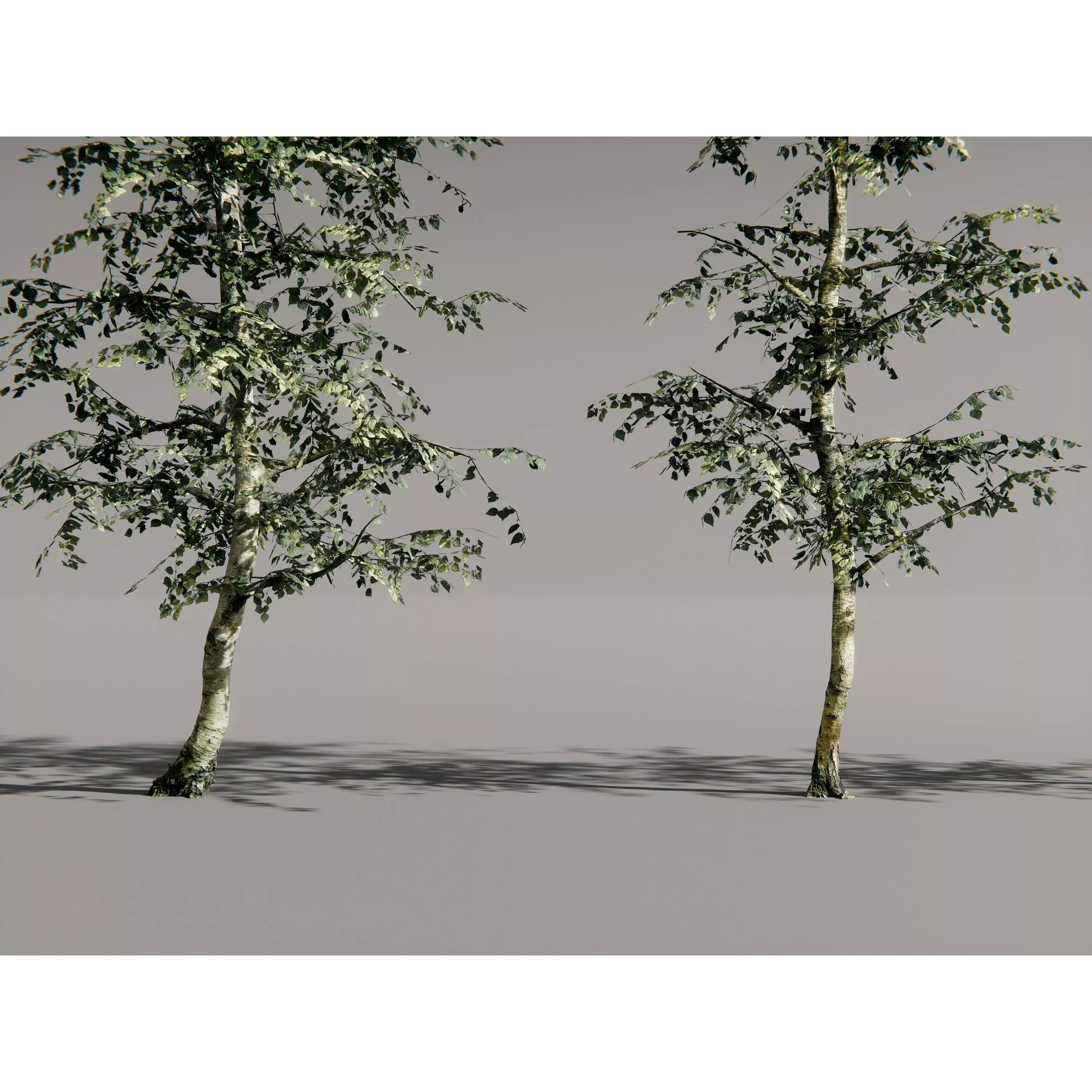 Realistic Trees 3D Model – High-Quality Asset Pack with PBR Textures - View 15