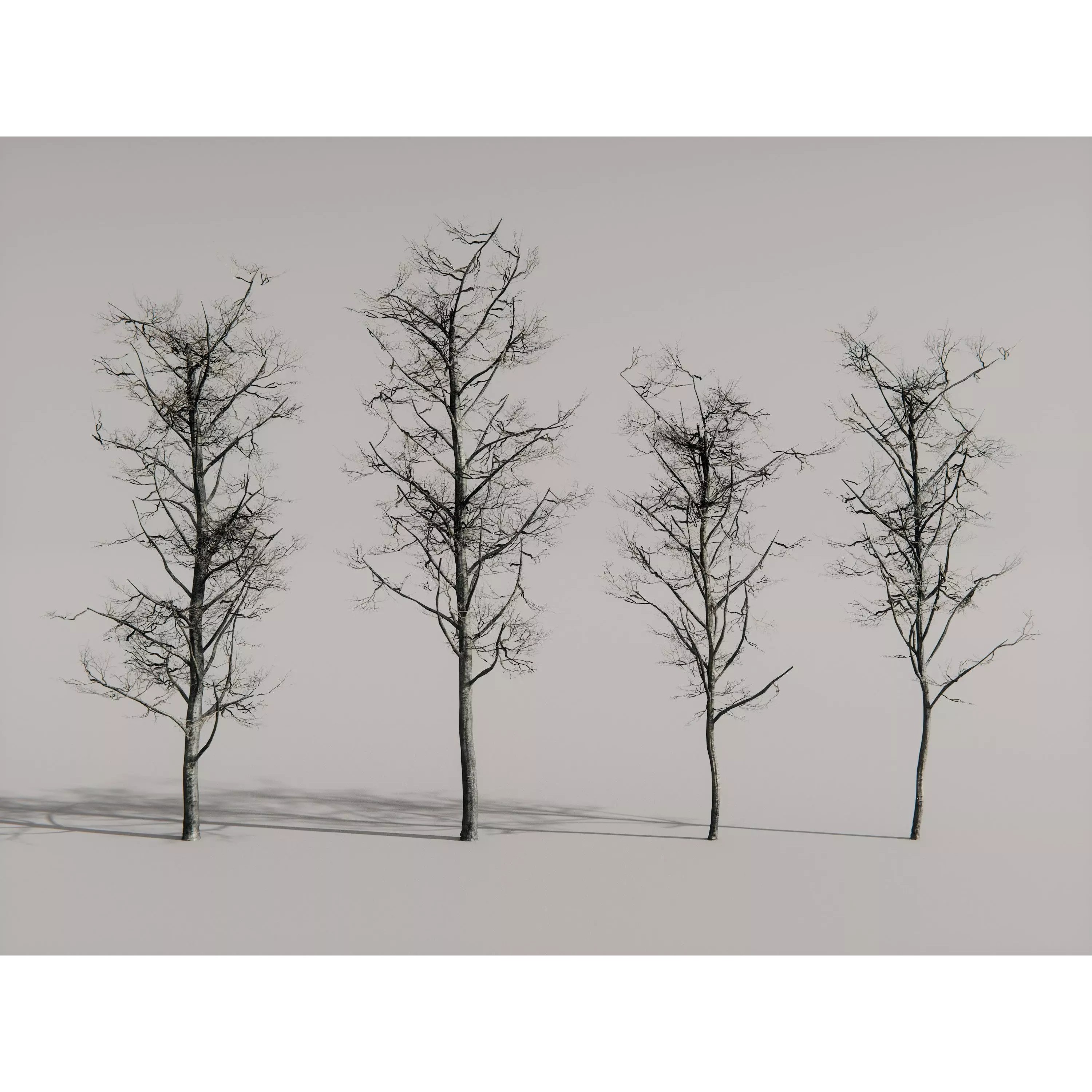 Realistic Trees 3D Model – High-Quality Asset Pack with PBR Textures - View 16