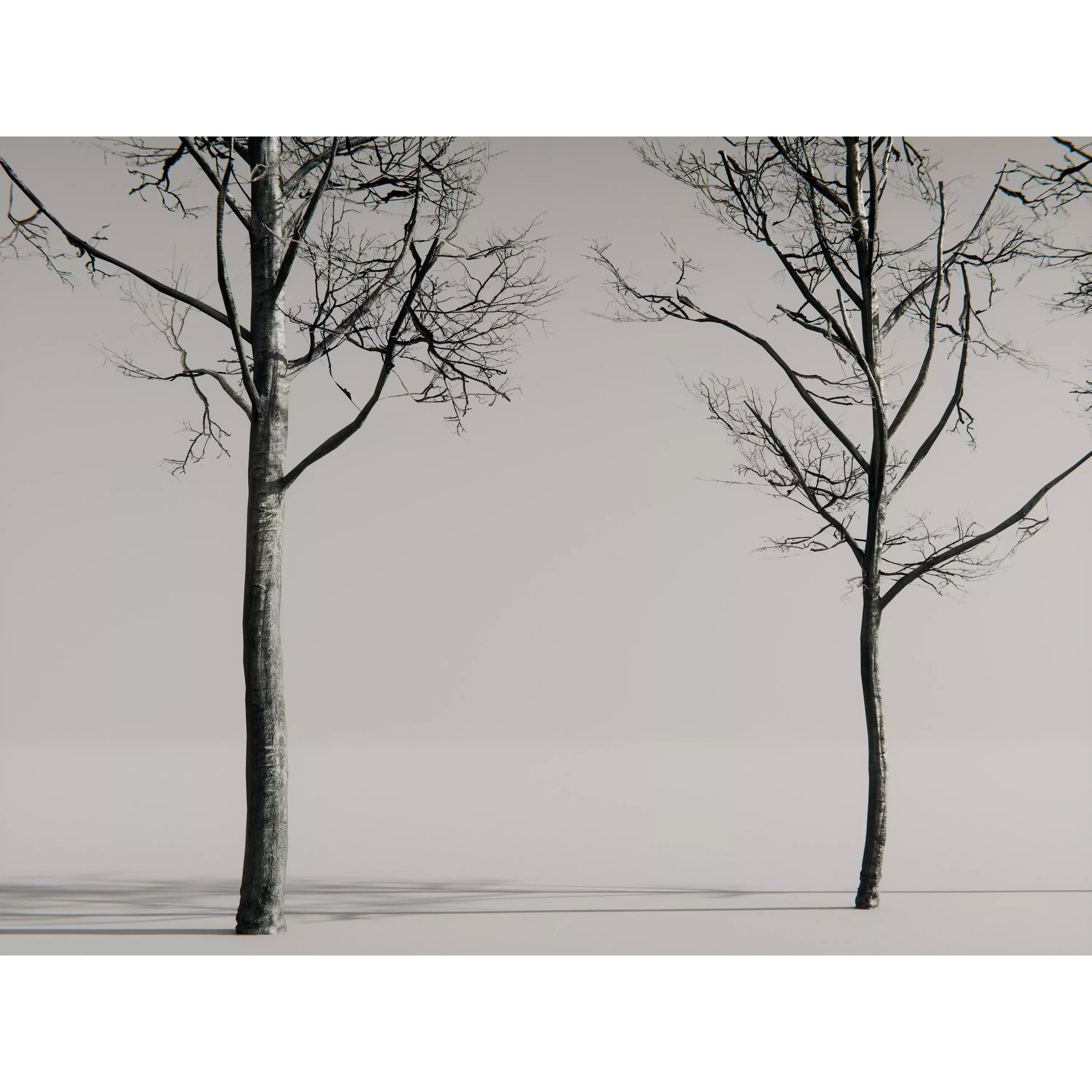 Realistic Trees 3D Model – High-Quality Asset Pack with PBR Textures - View 17