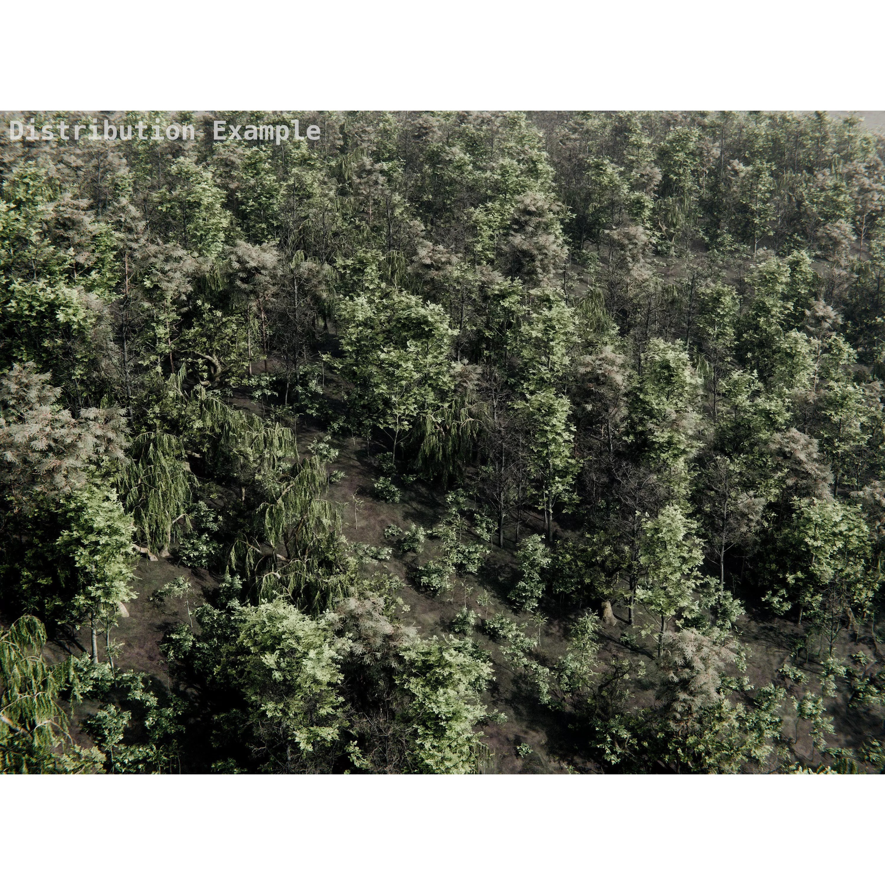 Realistic Trees 3D Model – High-Quality Asset Pack with PBR Textures - View 18