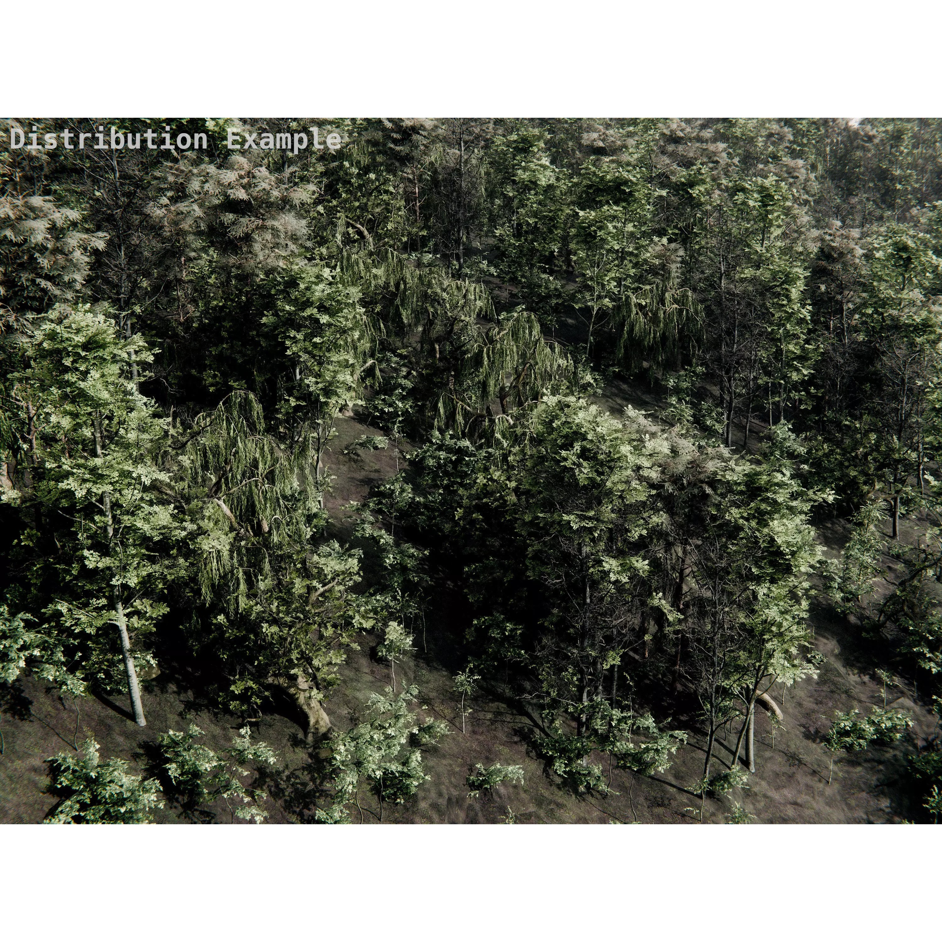 Realistic Trees 3D Model – High-Quality Asset Pack with PBR Textures - View 19