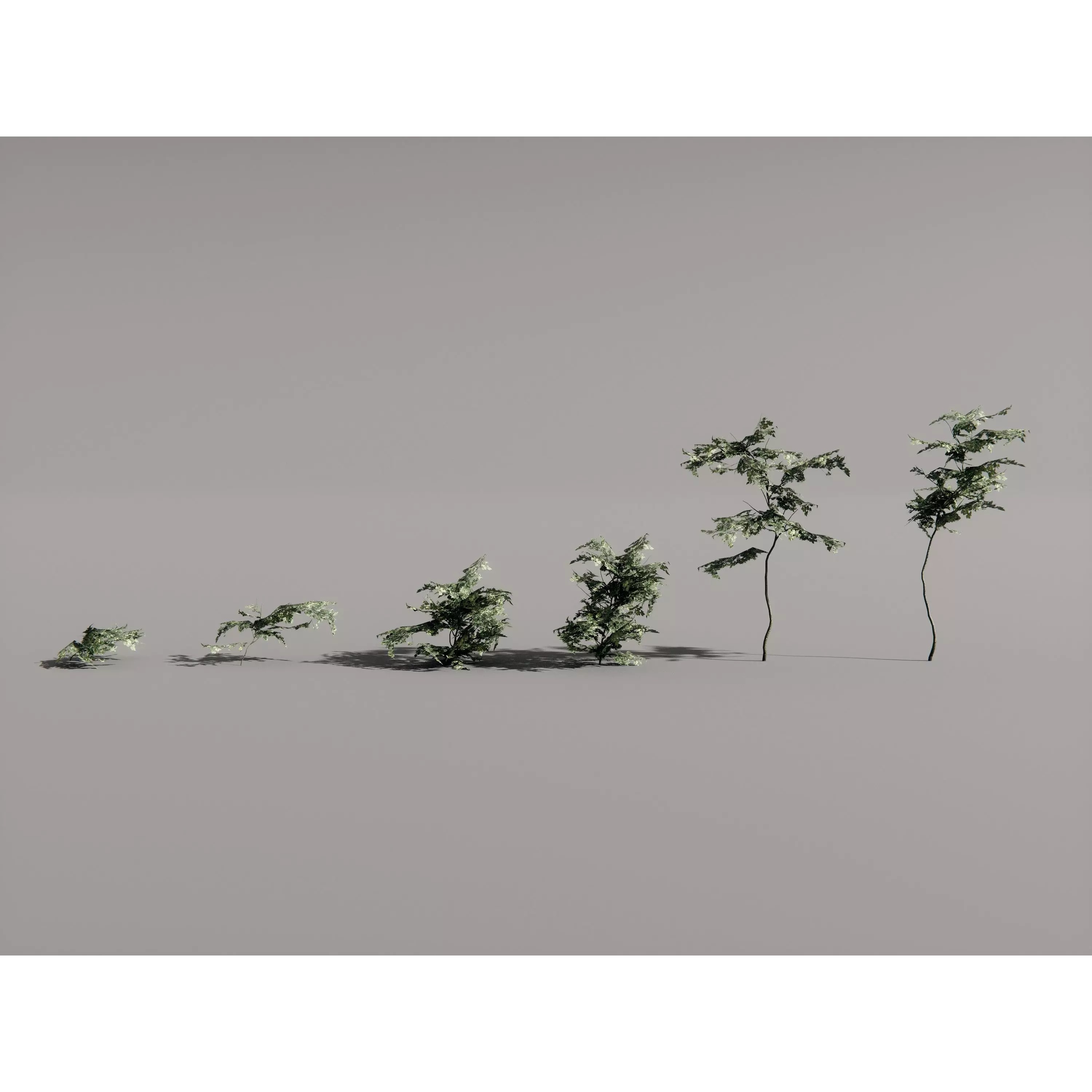 Realistic Trees 3D Model – High-Quality Asset Pack with PBR Textures - View 20