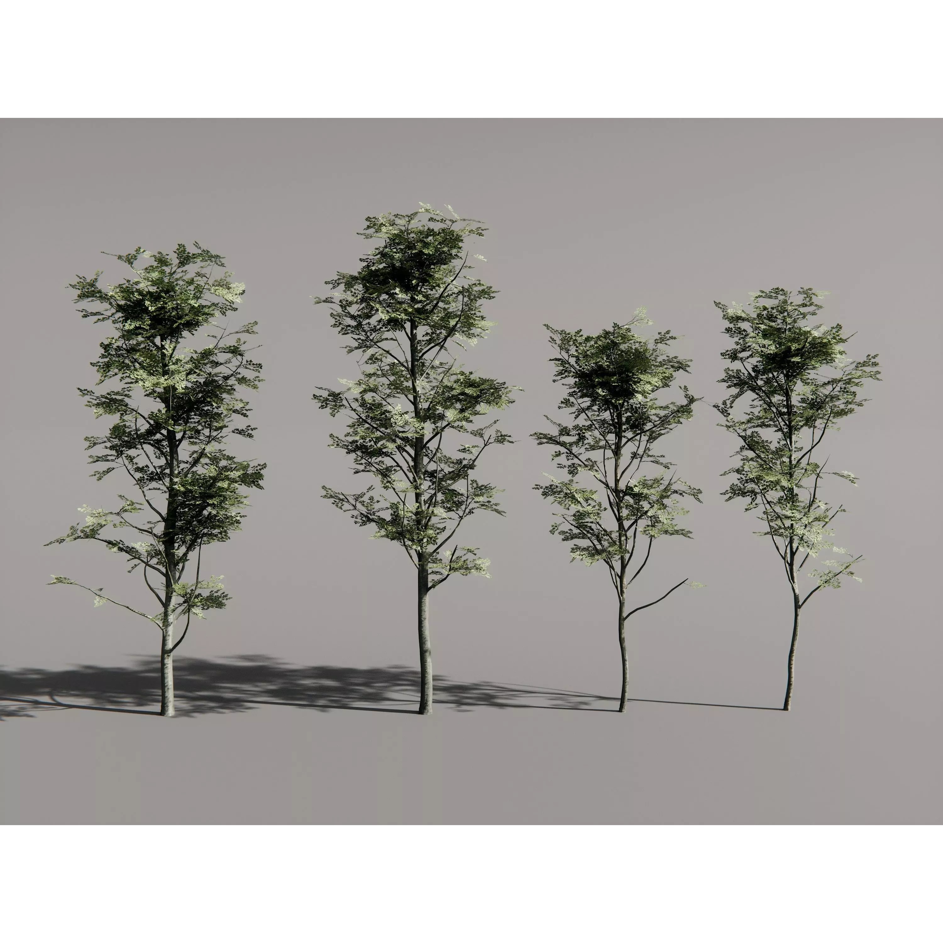 Realistic Trees 3D Model – High-Quality Asset Pack with PBR Textures - View 3