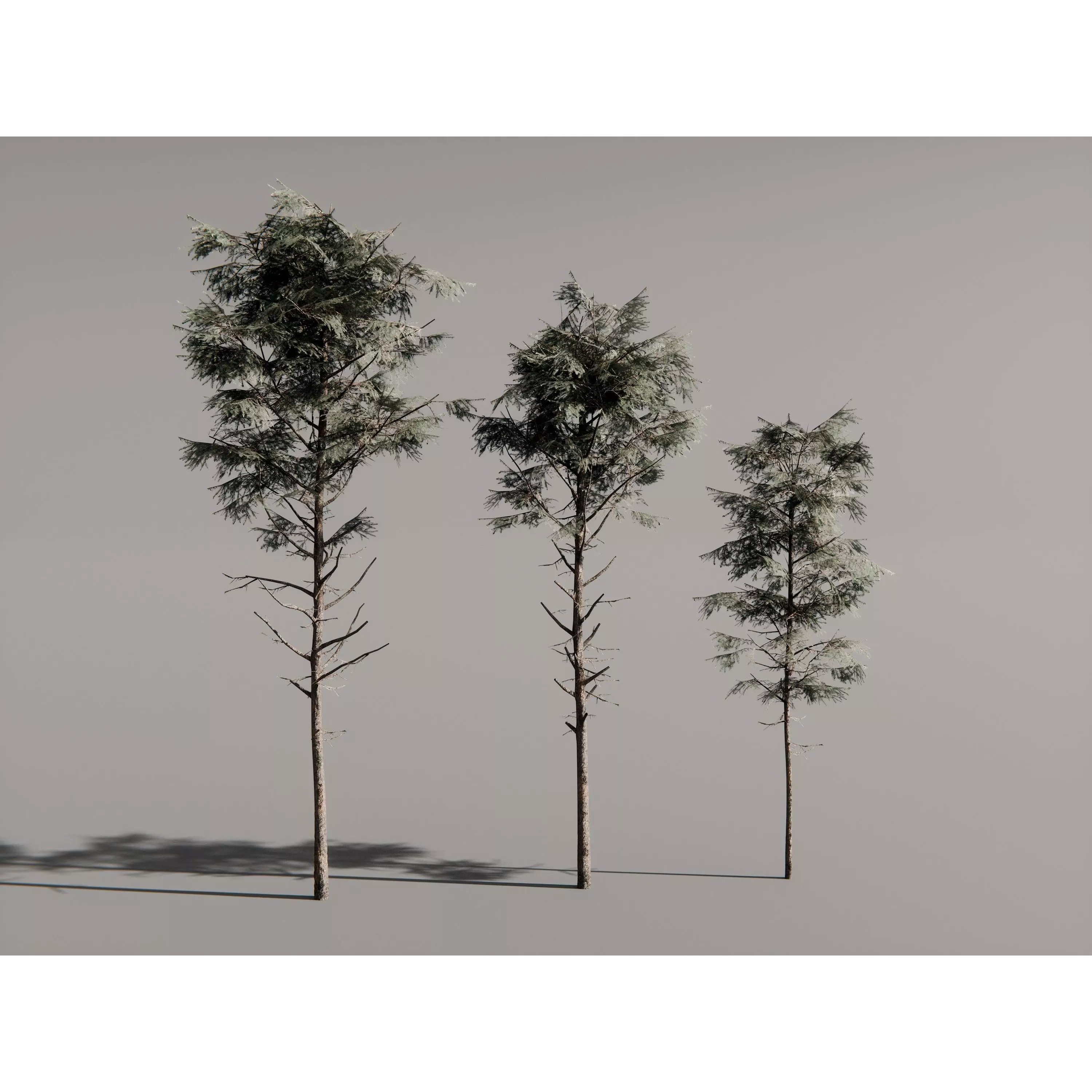 Realistic Trees 3D Model – High-Quality Asset Pack with PBR Textures - View 4