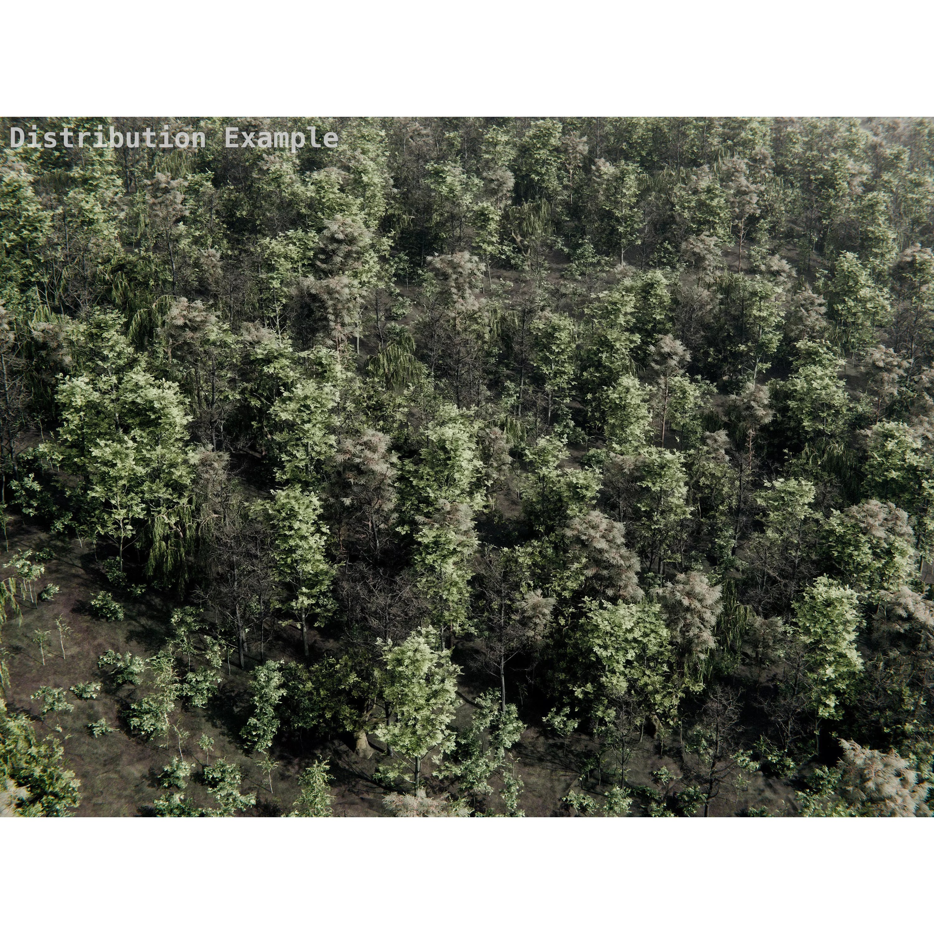 Realistic Trees 3D Model – High-Quality Asset Pack with PBR Textures - View 5