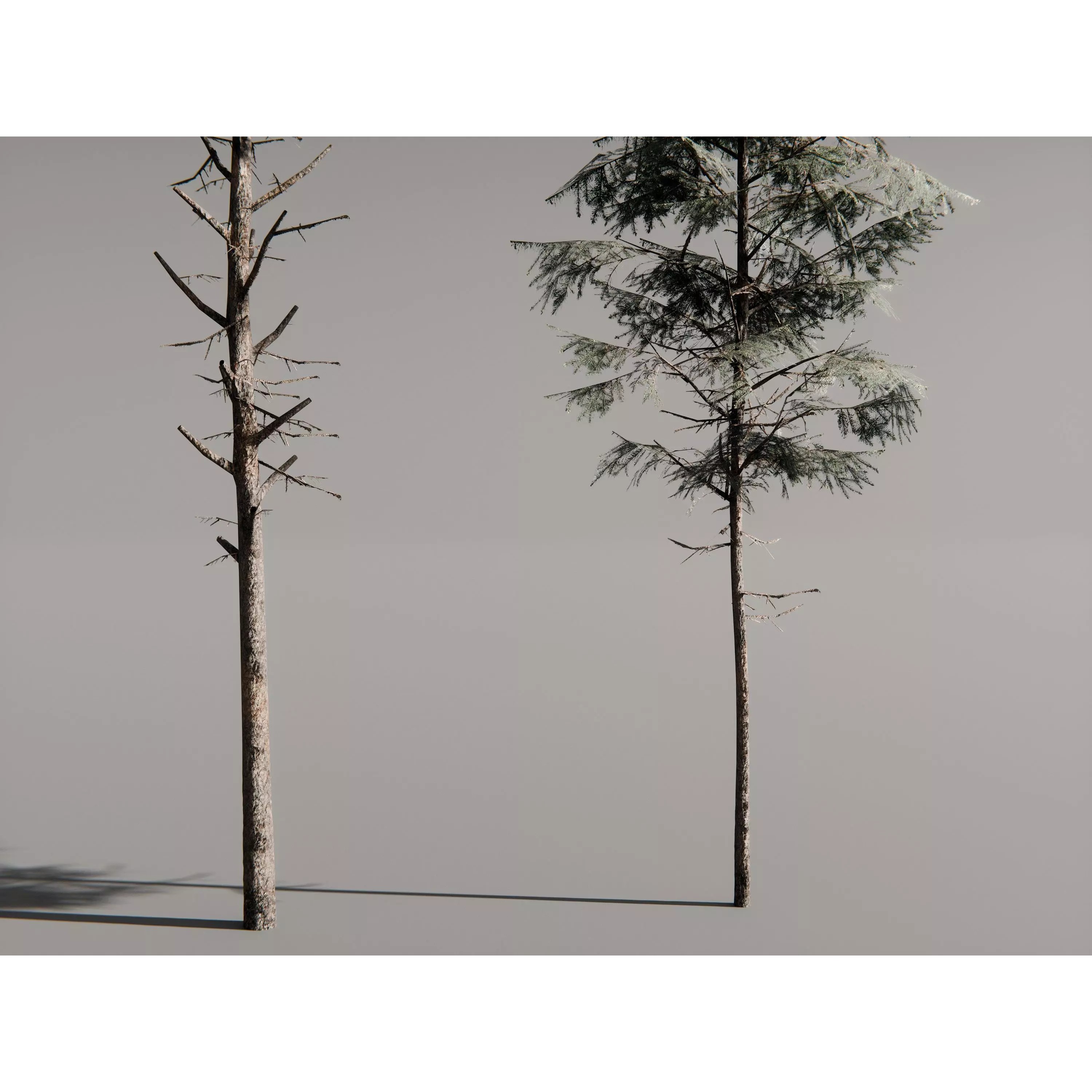 Realistic Trees 3D Model – High-Quality Asset Pack with PBR Textures - View 7