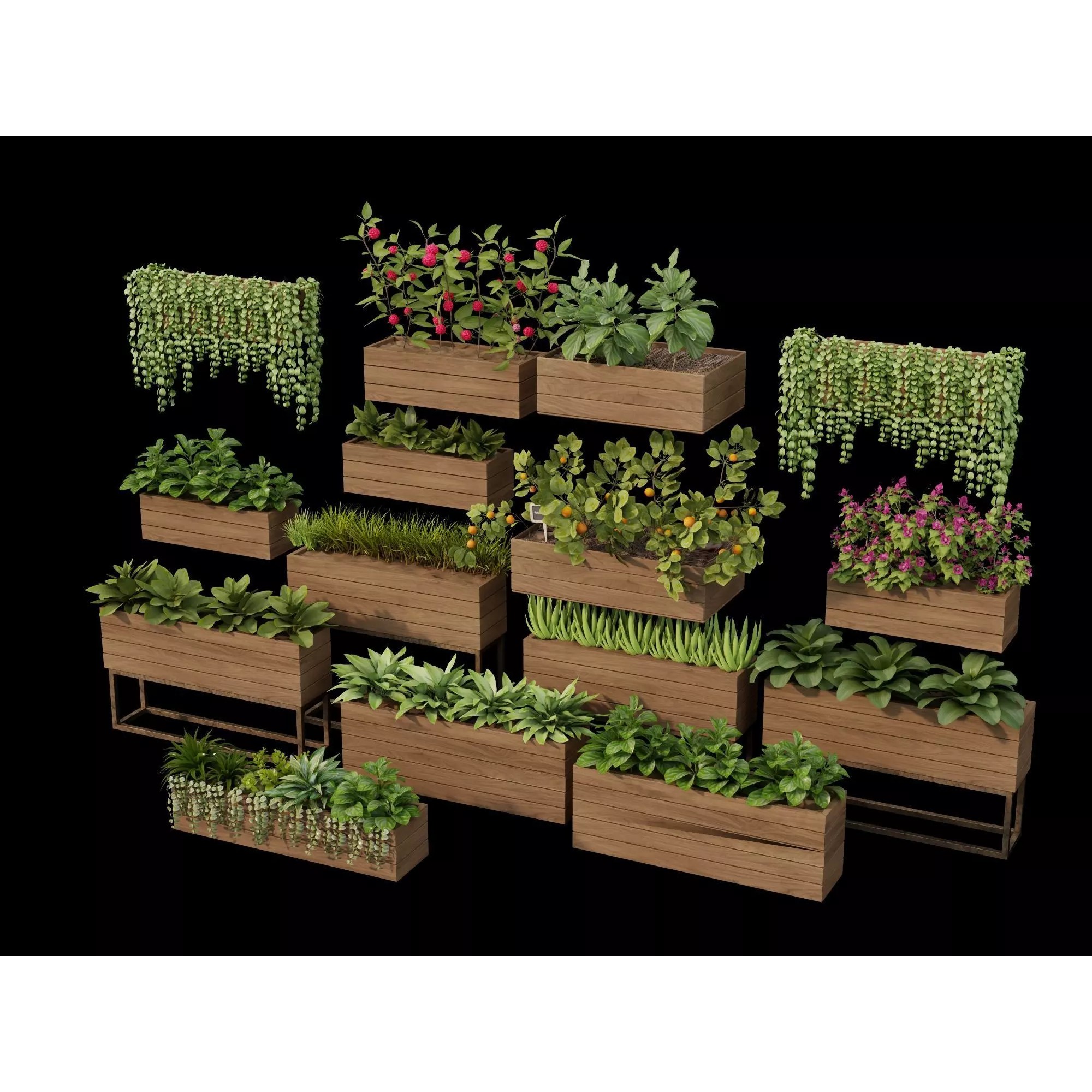 Home Plants 3D Model – Low Poly Modular Wooden Planters with Realistic Plants - View 10