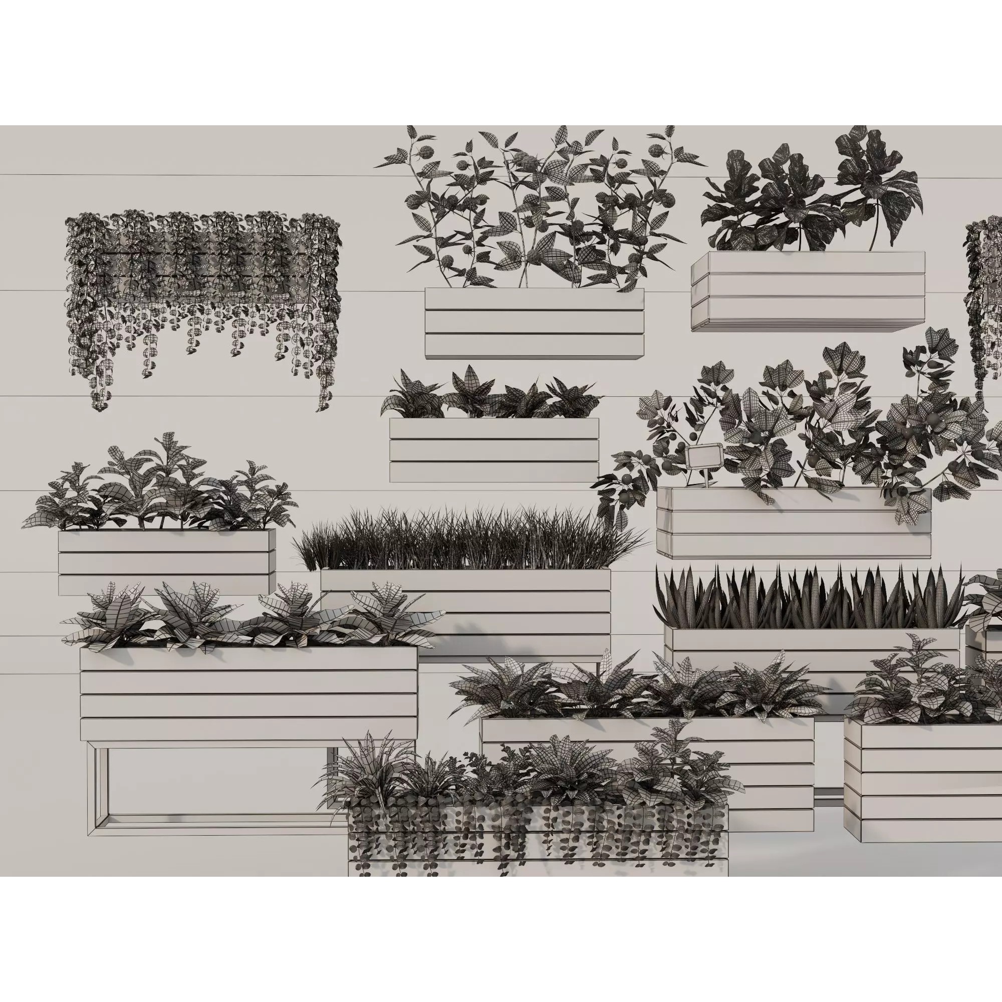Home Plants 3D Model – Low Poly Modular Wooden Planters with Realistic Plants - View 12