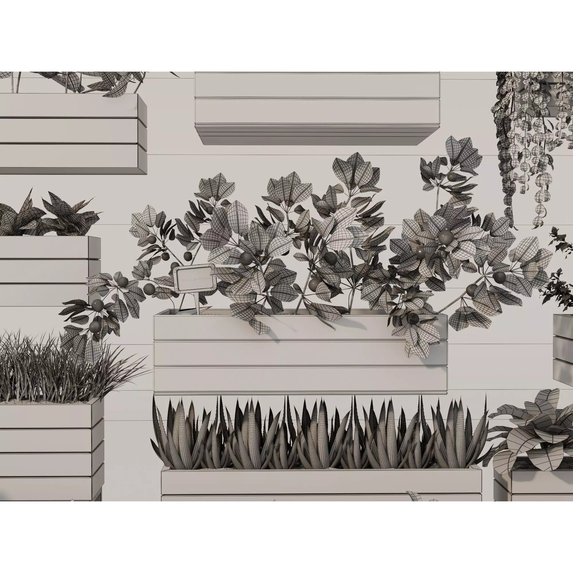 Home Plants 3D Model – Low Poly Modular Wooden Planters with Realistic Plants - View 14
