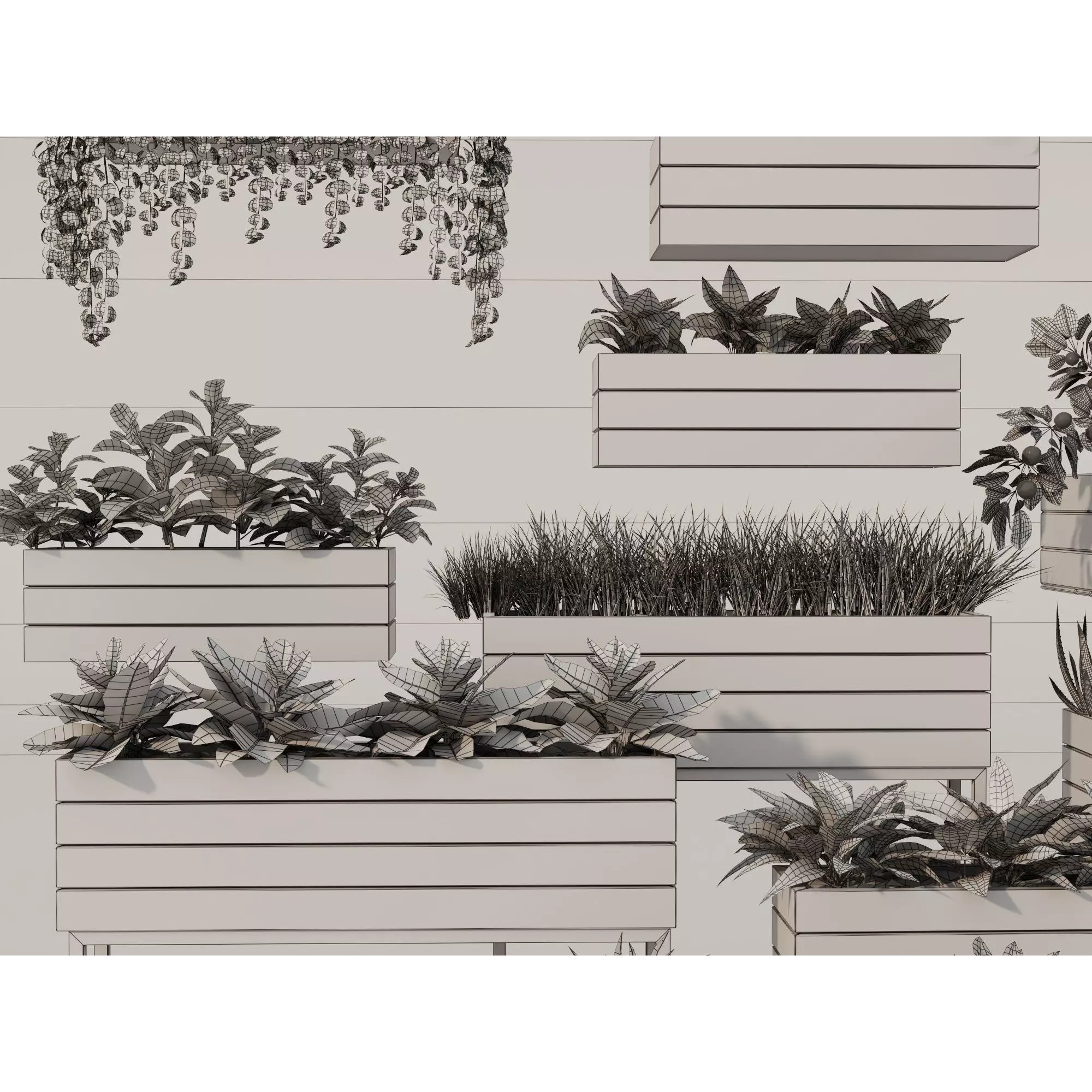 Home Plants 3D Model – Low Poly Modular Wooden Planters with Realistic Plants - View 15