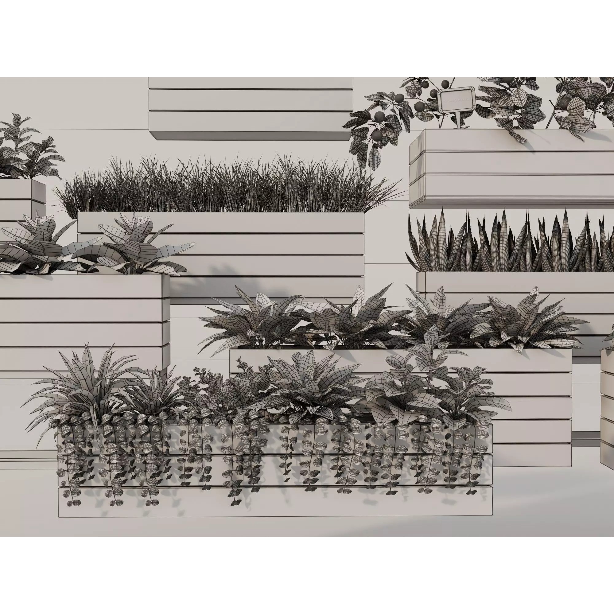 Home Plants 3D Model – Low Poly Modular Wooden Planters with Realistic Plants - View 16