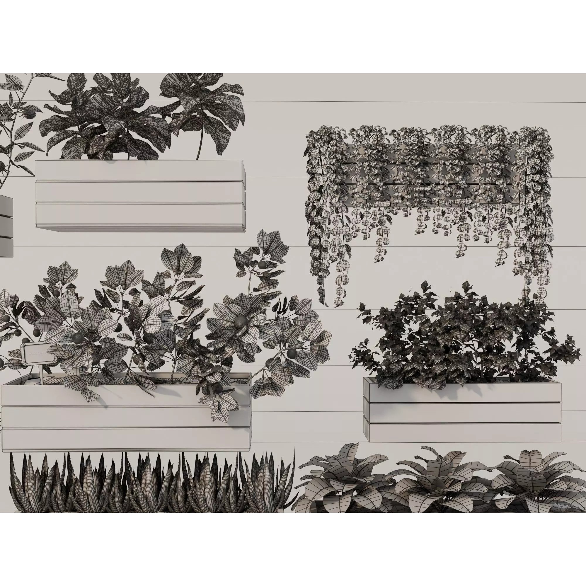Home Plants 3D Model – Low Poly Modular Wooden Planters with Realistic Plants - View 17