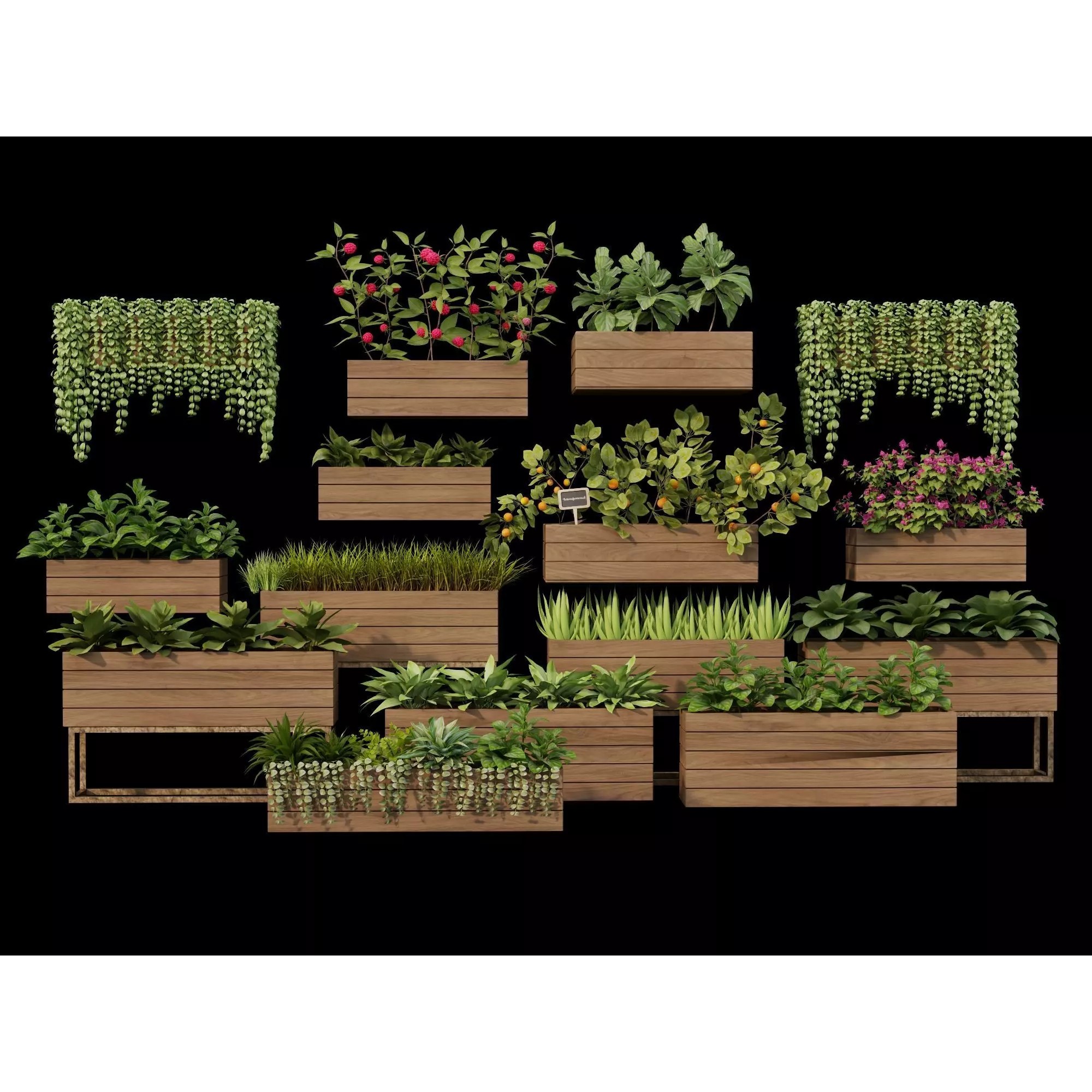 Home Plants 3D Model – Low Poly Modular Wooden Planters with Realistic Plants - View 2