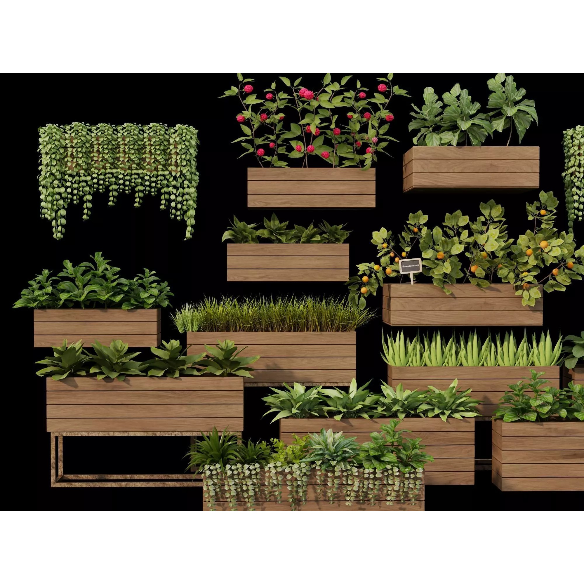 Home Plants 3D Model – Low Poly Modular Wooden Planters with Realistic Plants - View 3