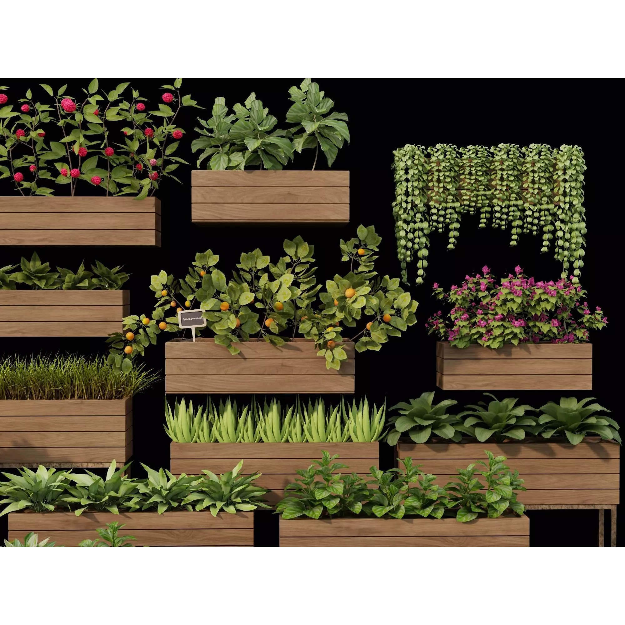 Home Plants 3D Model – Low Poly Modular Wooden Planters with Realistic Plants - View 4