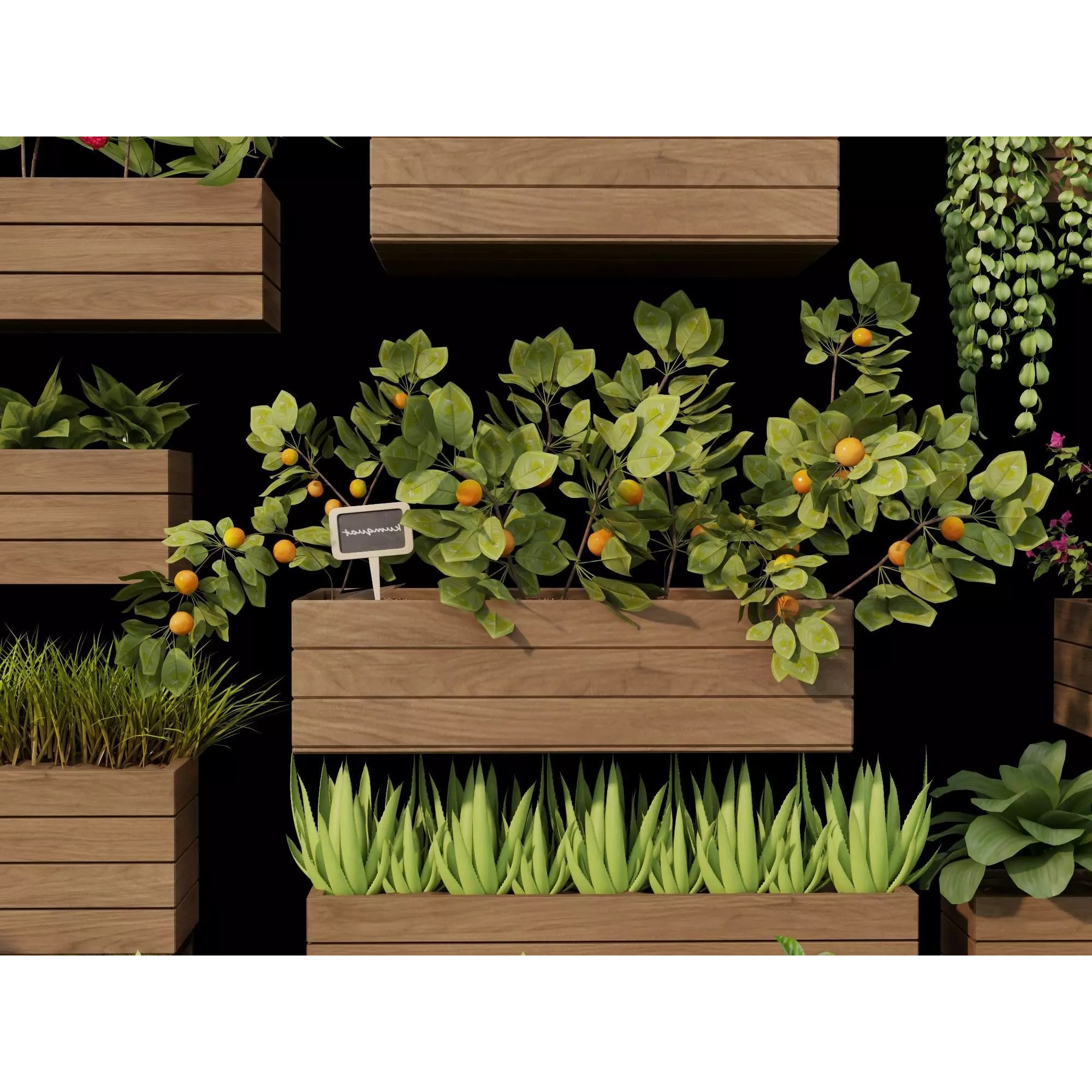 Home Plants 3D Model – Low Poly Modular Wooden Planters with Realistic Plants - View 5