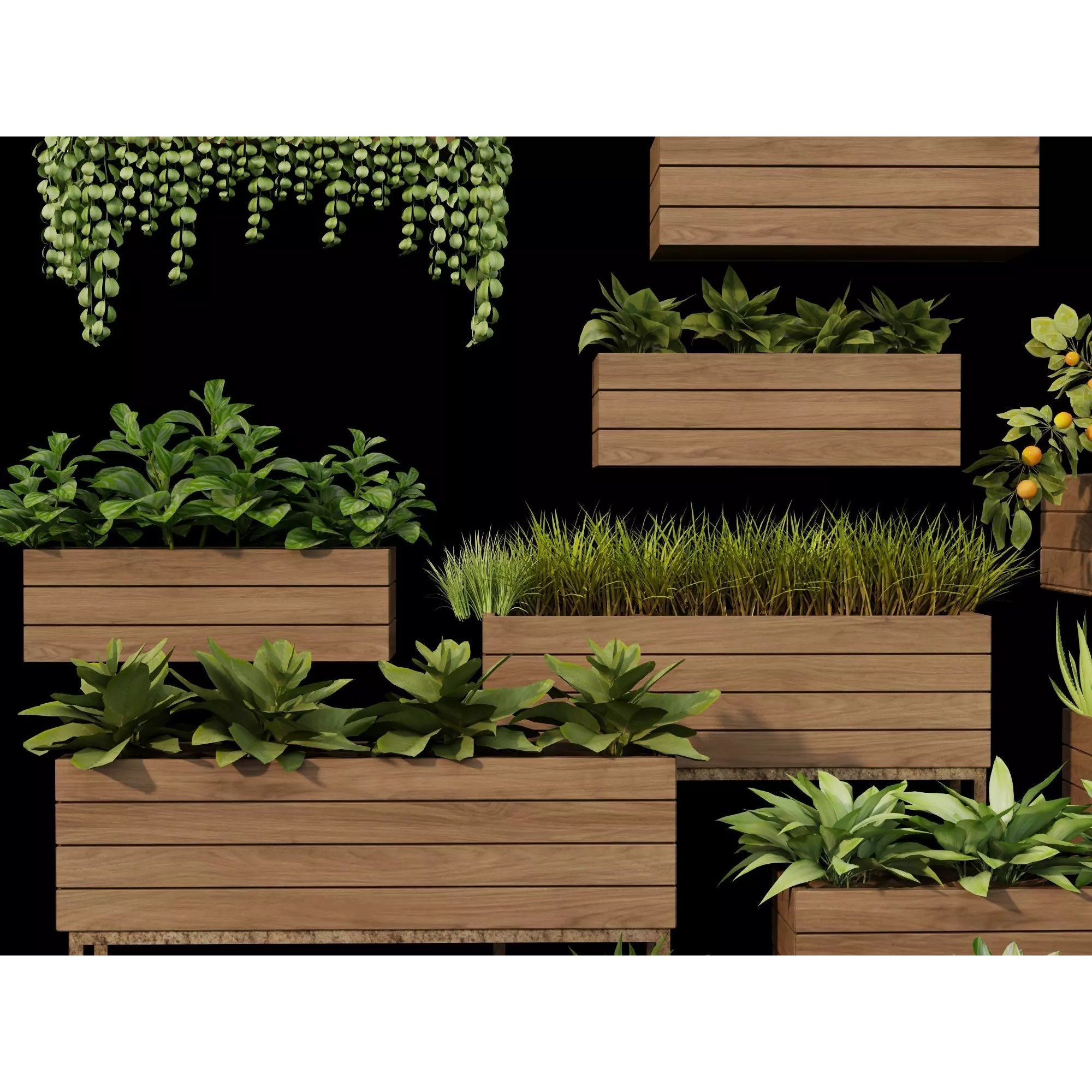 Home Plants 3D Model – Low Poly Modular Wooden Planters with Realistic Plants - View 6