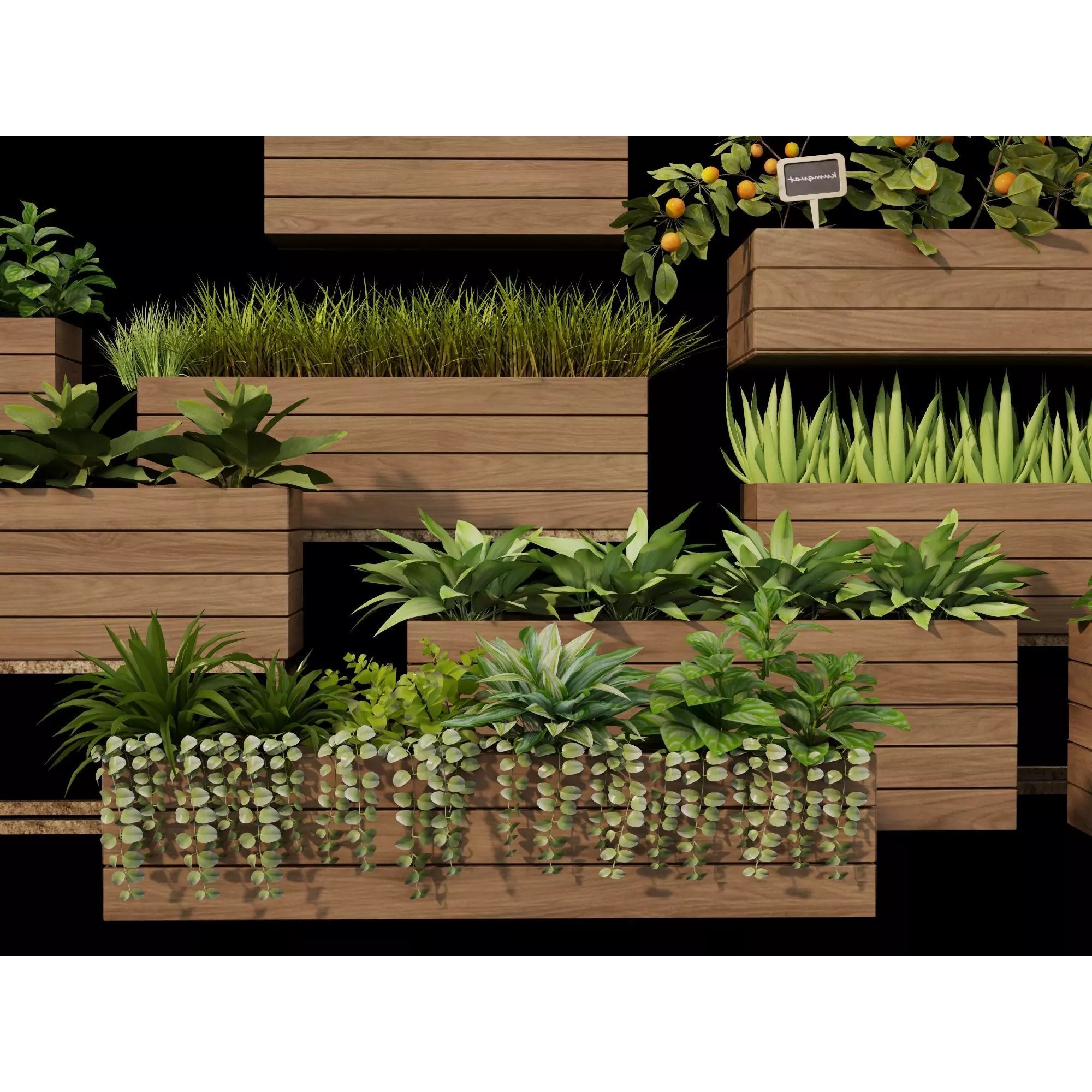 Home Plants 3D Model – Low Poly Modular Wooden Planters with Realistic Plants - View 7