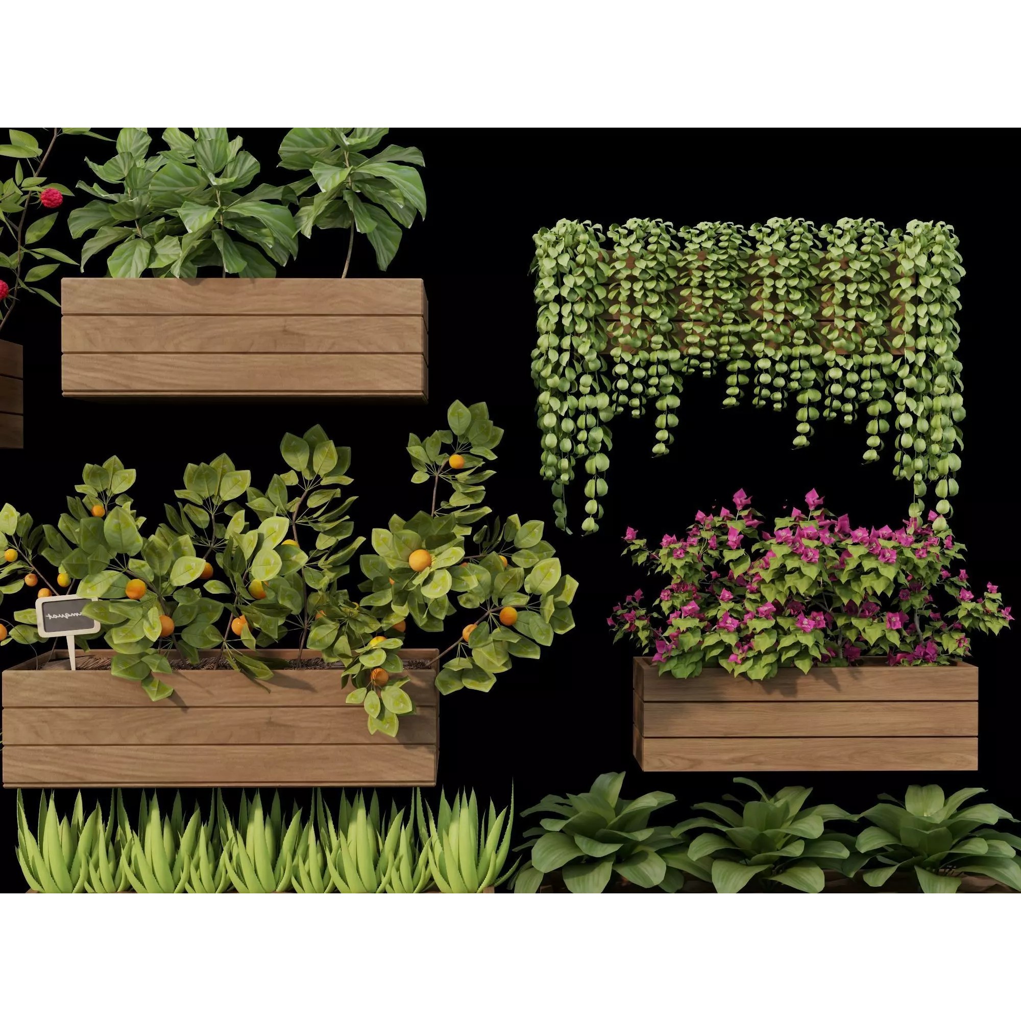 Home Plants 3D Model – Low Poly Modular Wooden Planters with Realistic Plants - View 8