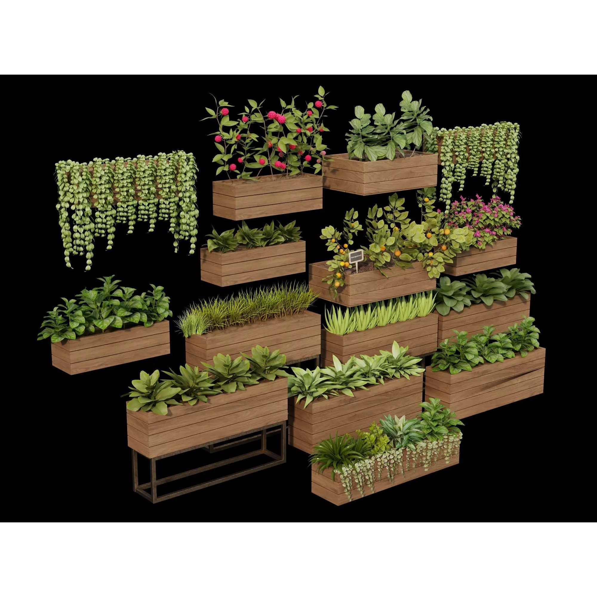 Home Plants 3D Model – Low Poly Modular Wooden Planters with Realistic Plants - View 9