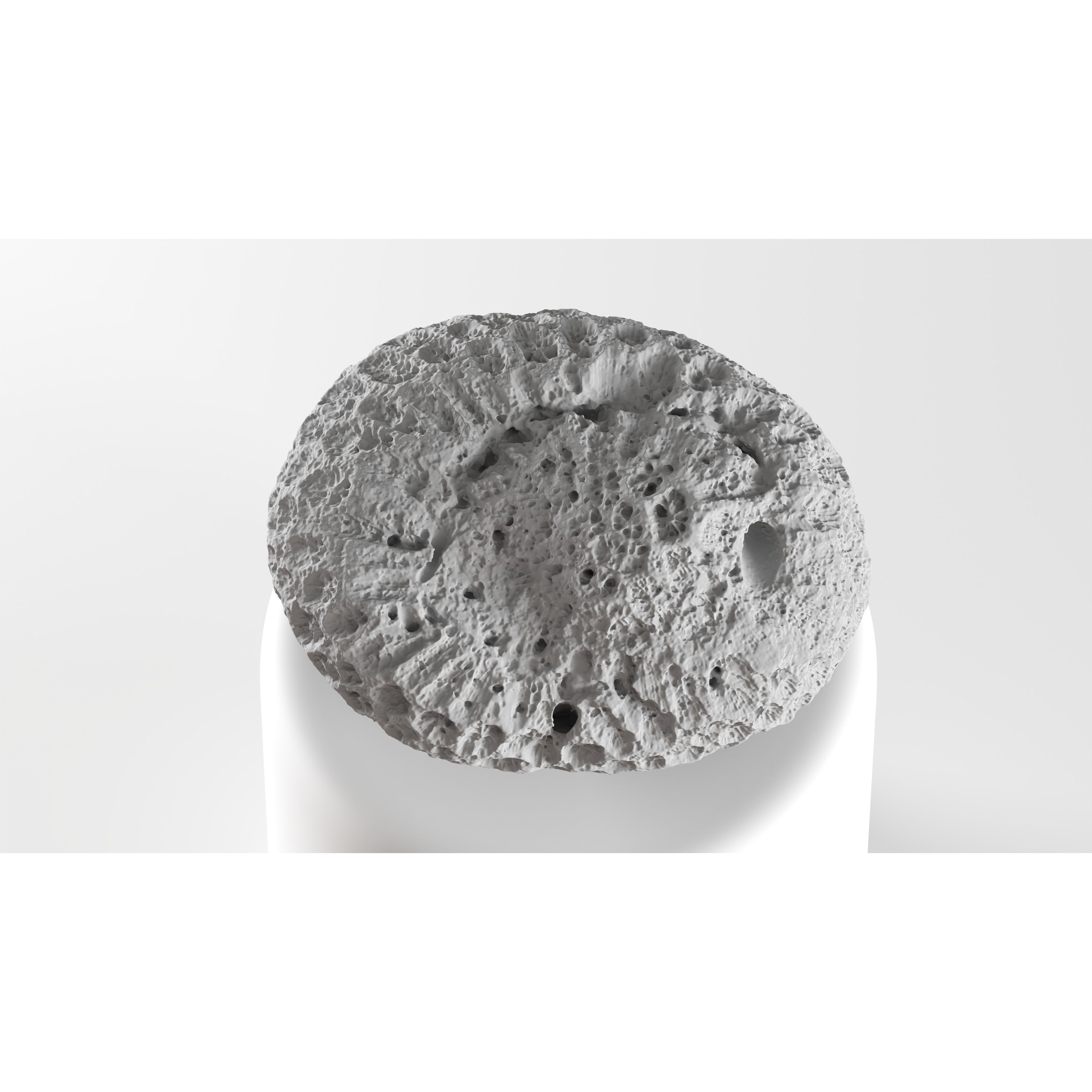 Natural Coral 3D Model – Detailed PBR Scan for Education and Art - View 10