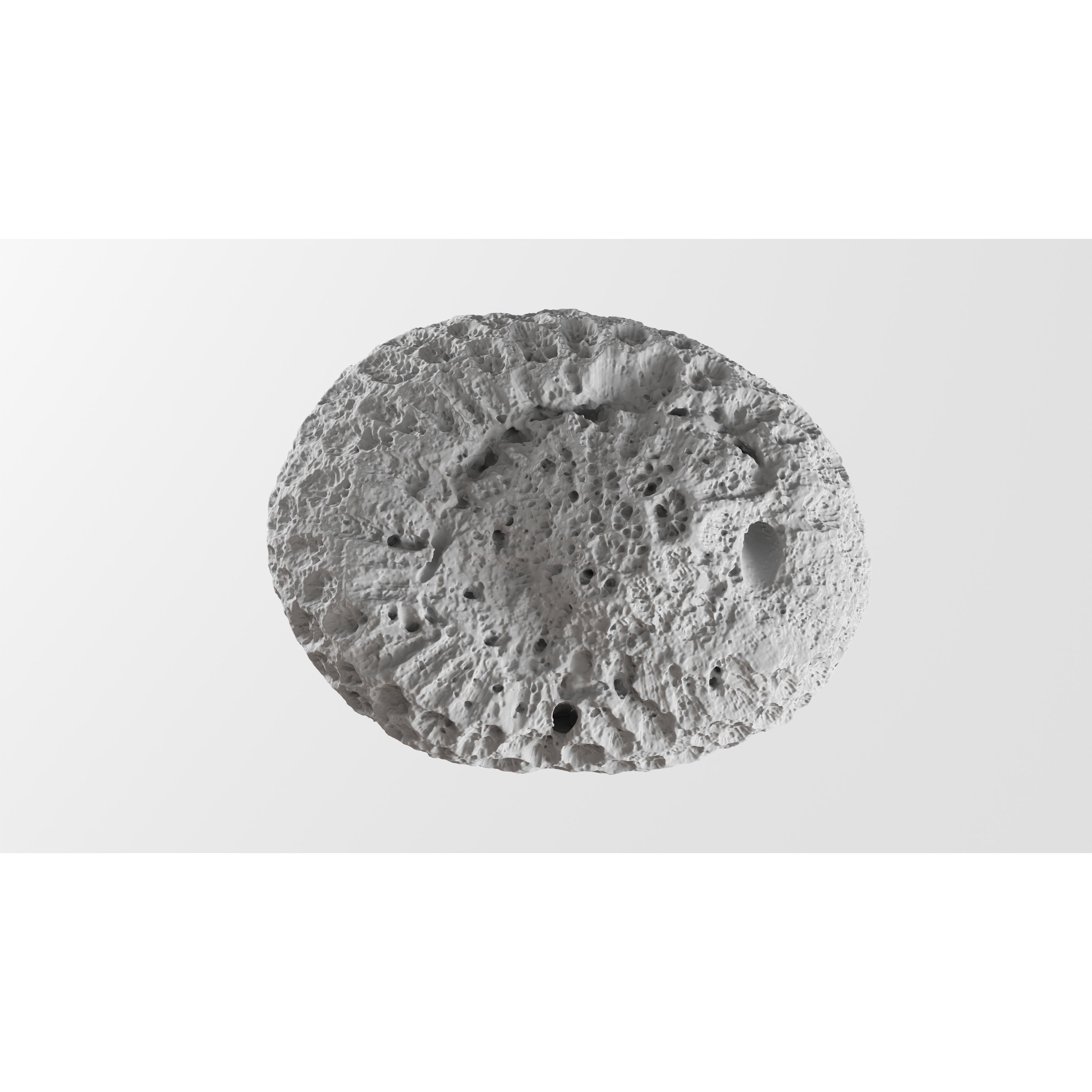 Natural Coral 3D Model – Detailed PBR Scan for Education and Art - View 12