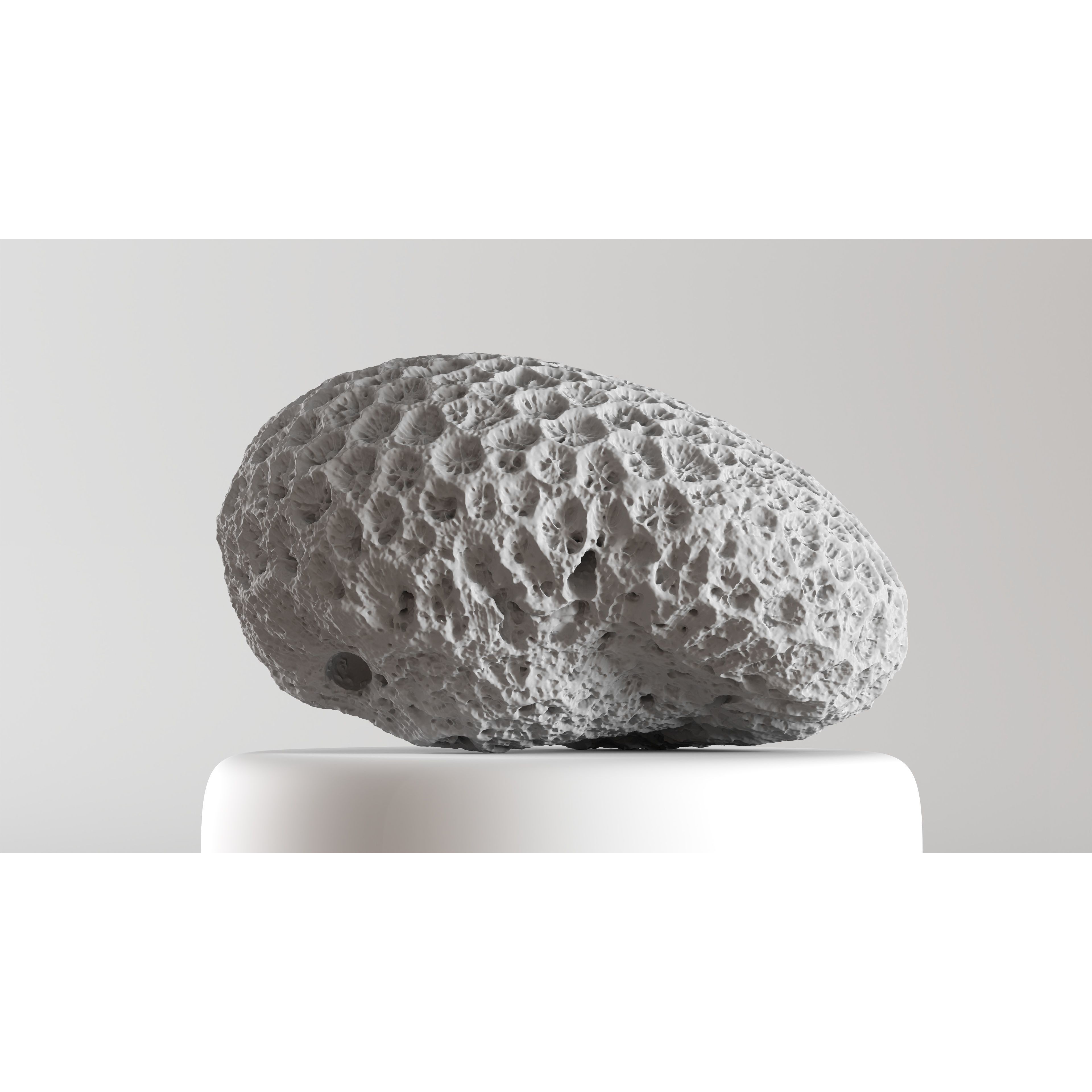 Natural Coral 3D Model – Detailed PBR Scan for Education and Art - View 7