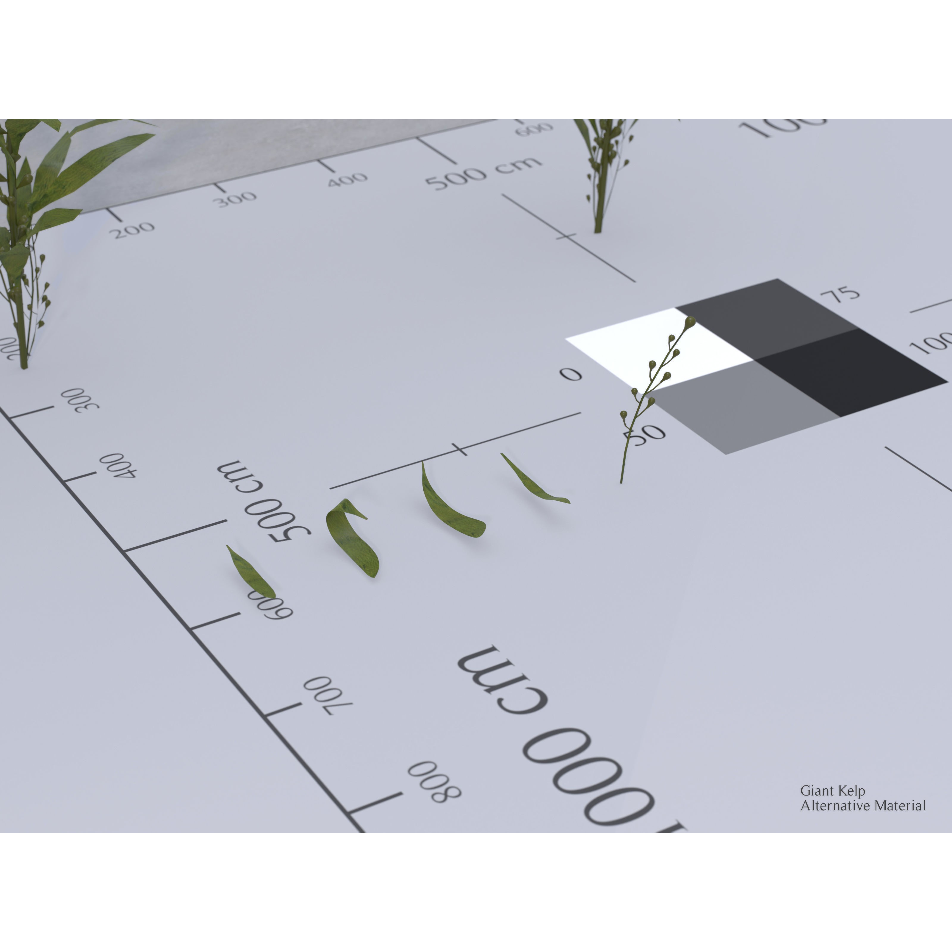 Ocean Plants 3D Model – Low Poly Underwater Flora, FBX, PBR - View 10