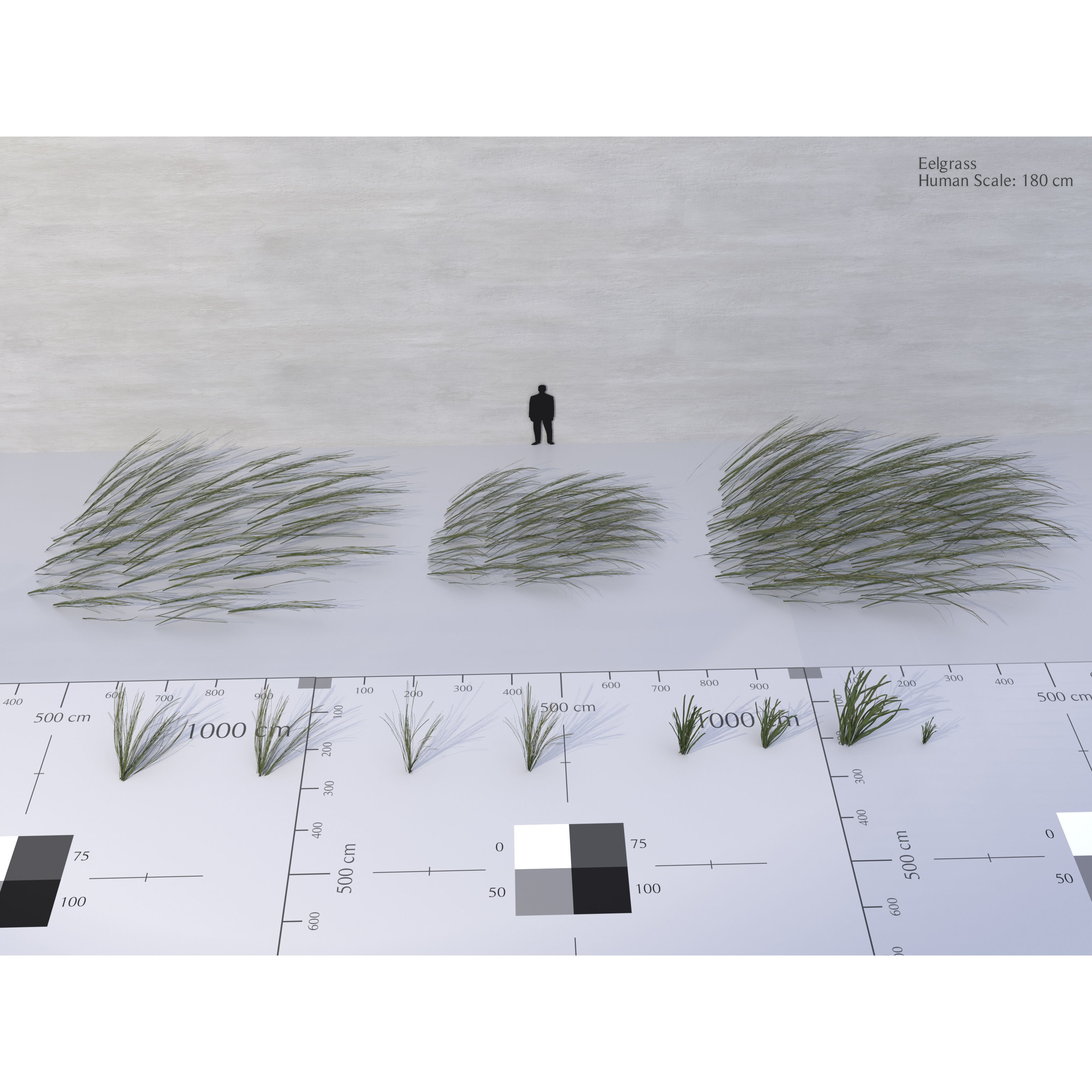 Ocean Plants 3D Model – Low Poly Underwater Flora, FBX, PBR - View 11