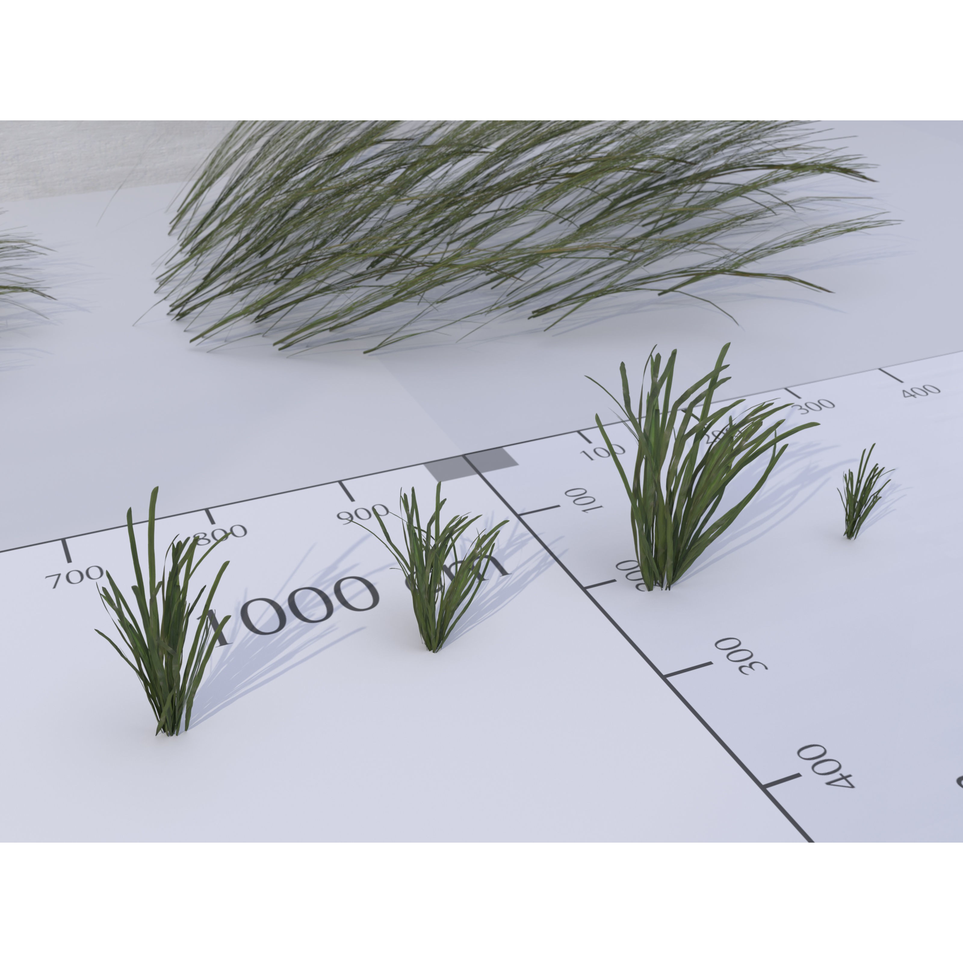 Ocean Plants 3D Model – Low Poly Underwater Flora, FBX, PBR - View 13