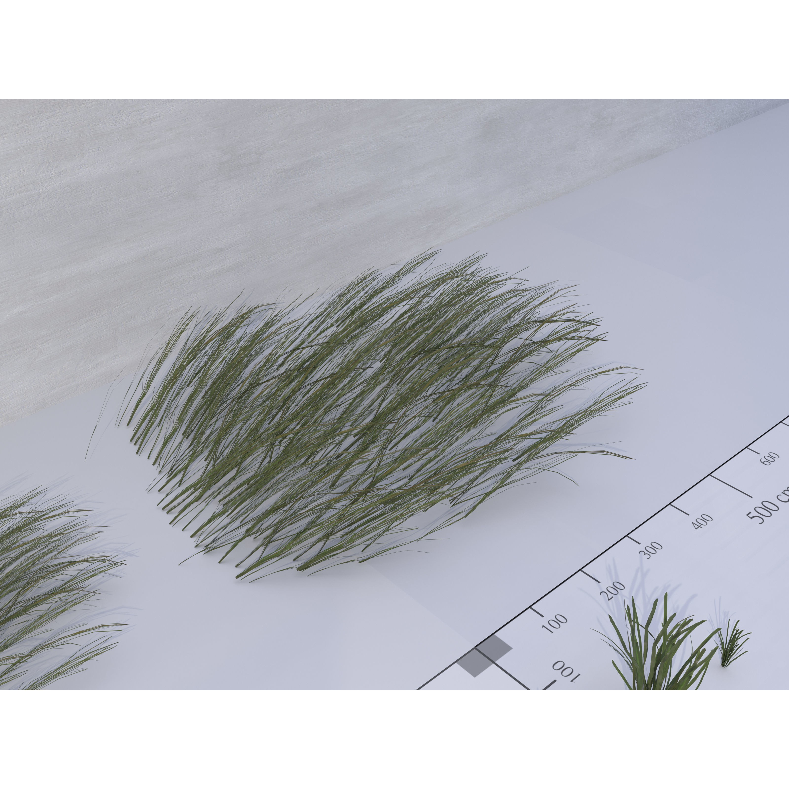 Ocean Plants 3D Model – Low Poly Underwater Flora, FBX, PBR - View 14