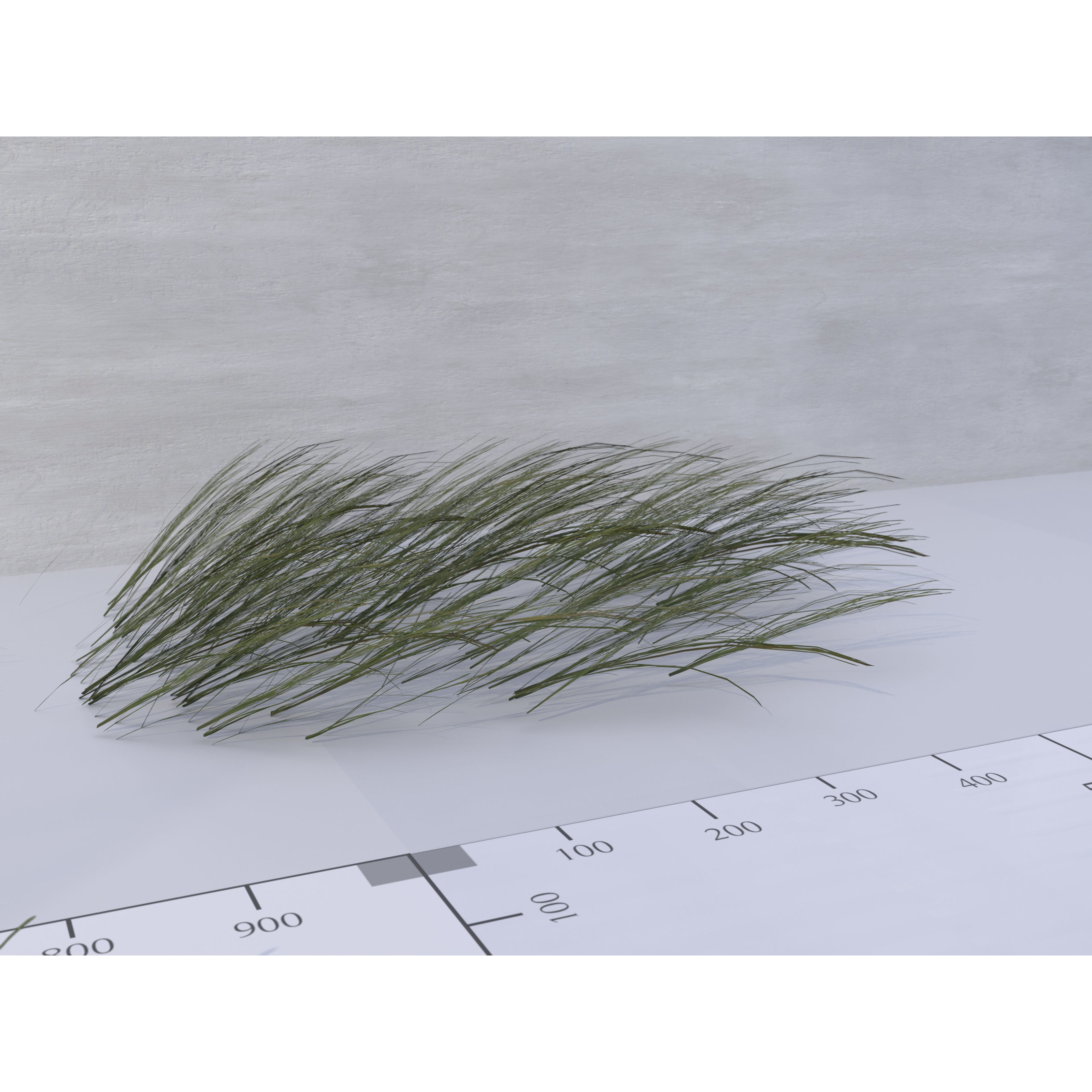 Ocean Plants 3D Model – Low Poly Underwater Flora, FBX, PBR - View 16