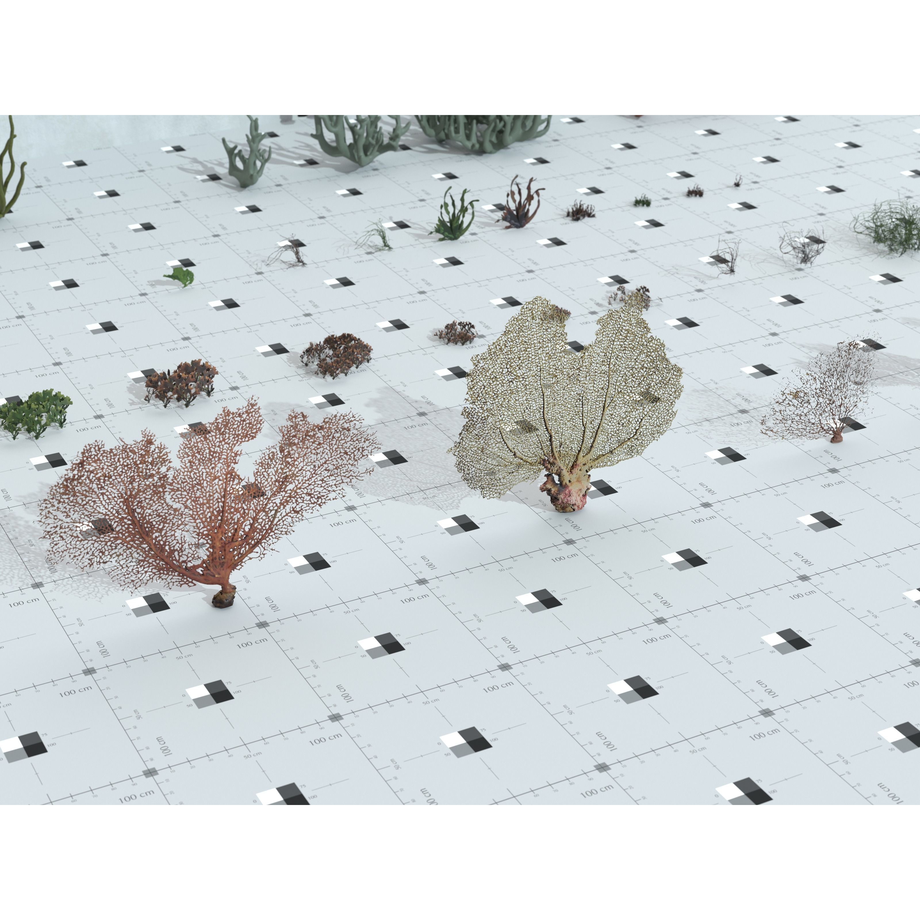 Ocean Plants 3D Model – Low Poly Underwater Flora, FBX, PBR - View 22