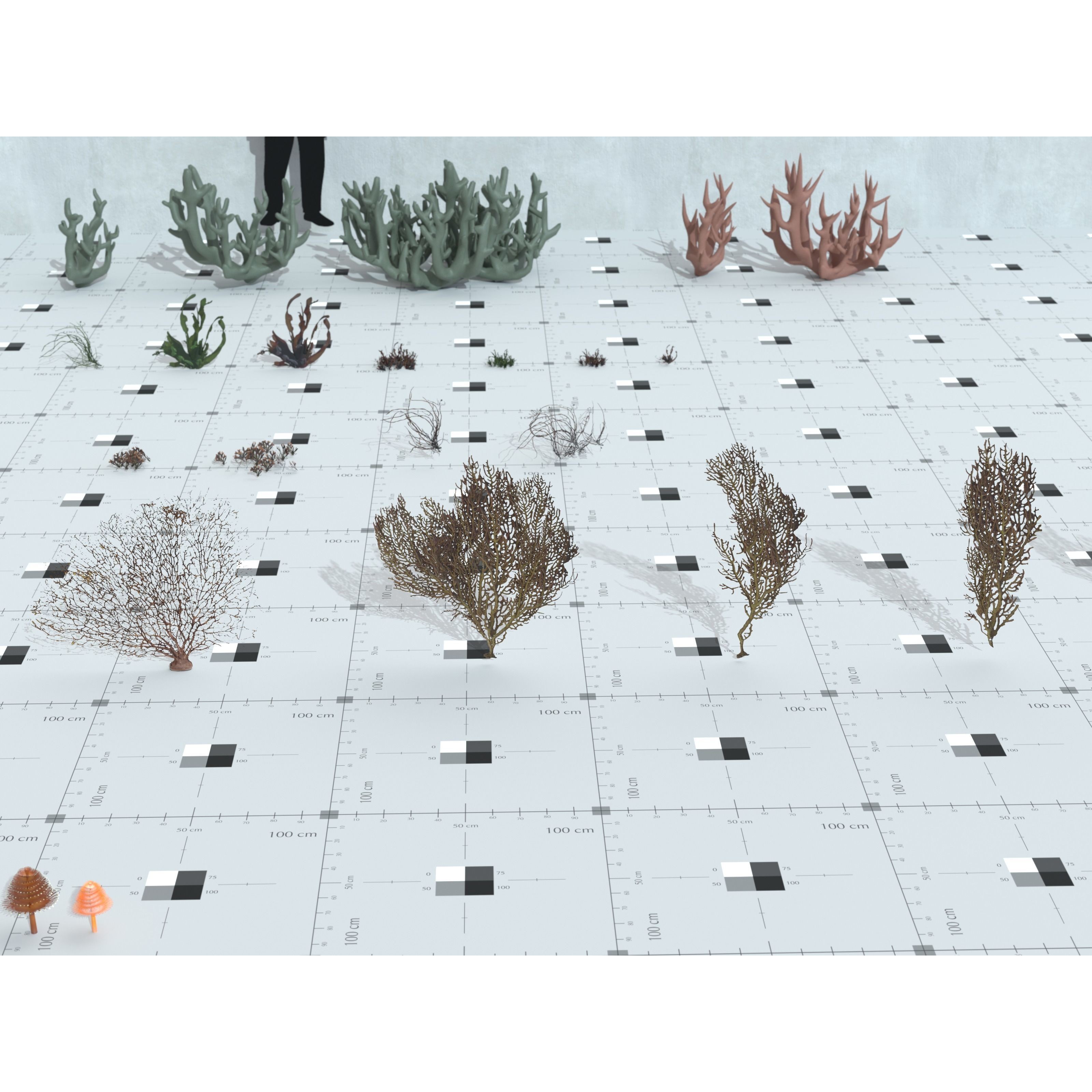Ocean Plants 3D Model – Low Poly Underwater Flora, FBX, PBR - View 24
