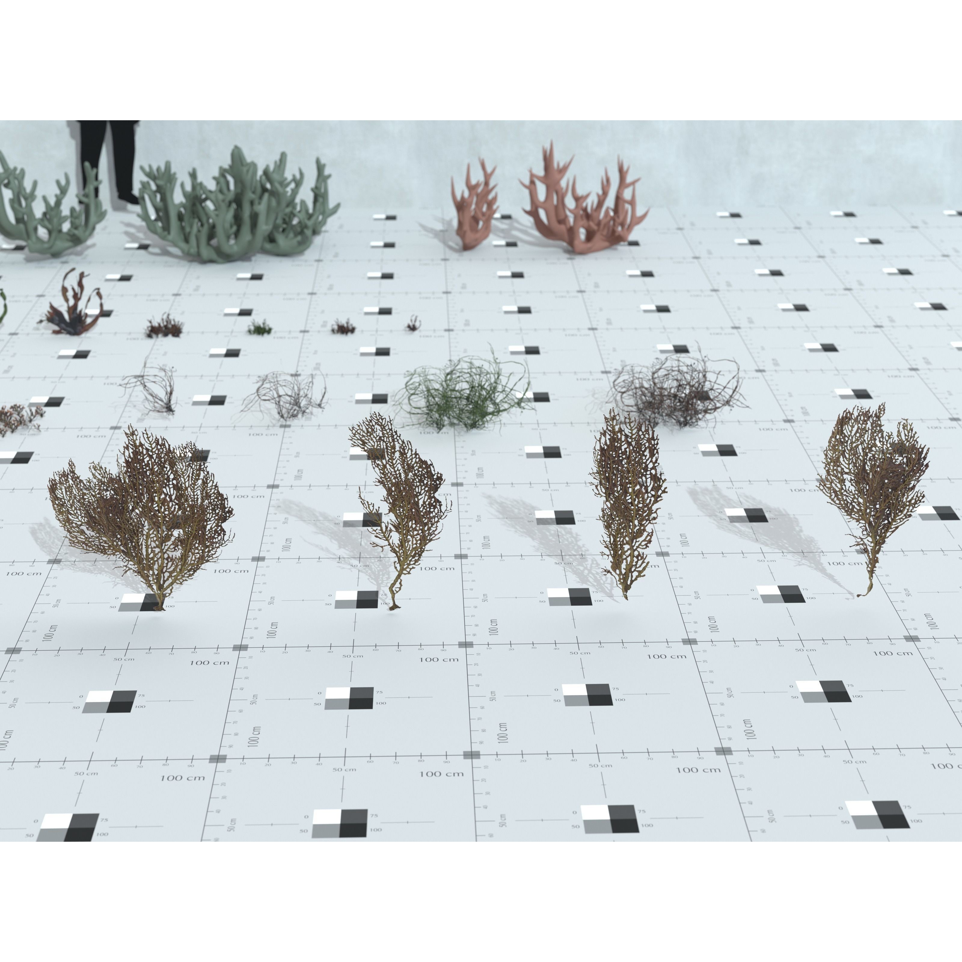 Ocean Plants 3D Model – Low Poly Underwater Flora, FBX, PBR - View 25
