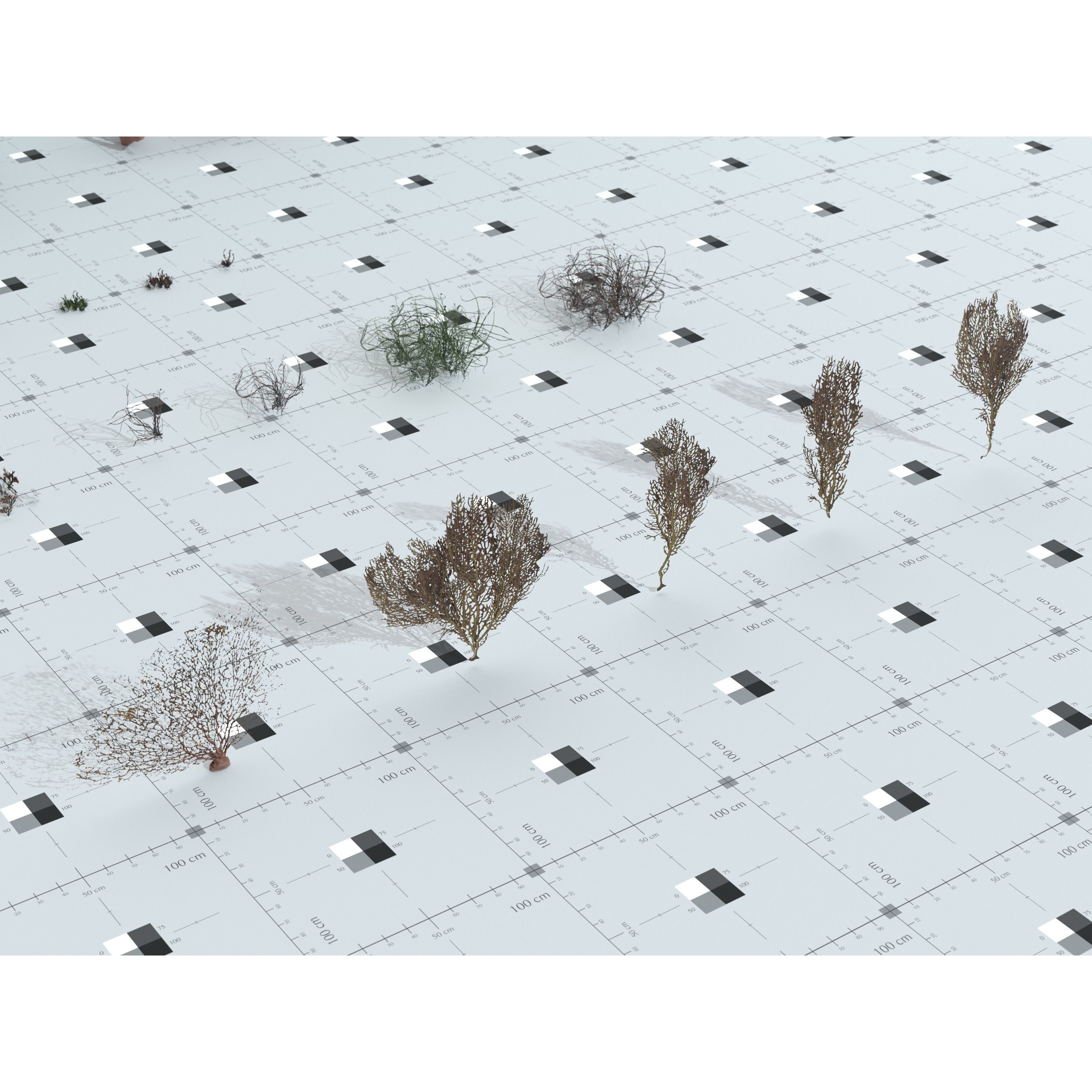 Ocean Plants 3D Model – Low Poly Underwater Flora, FBX, PBR - View 26