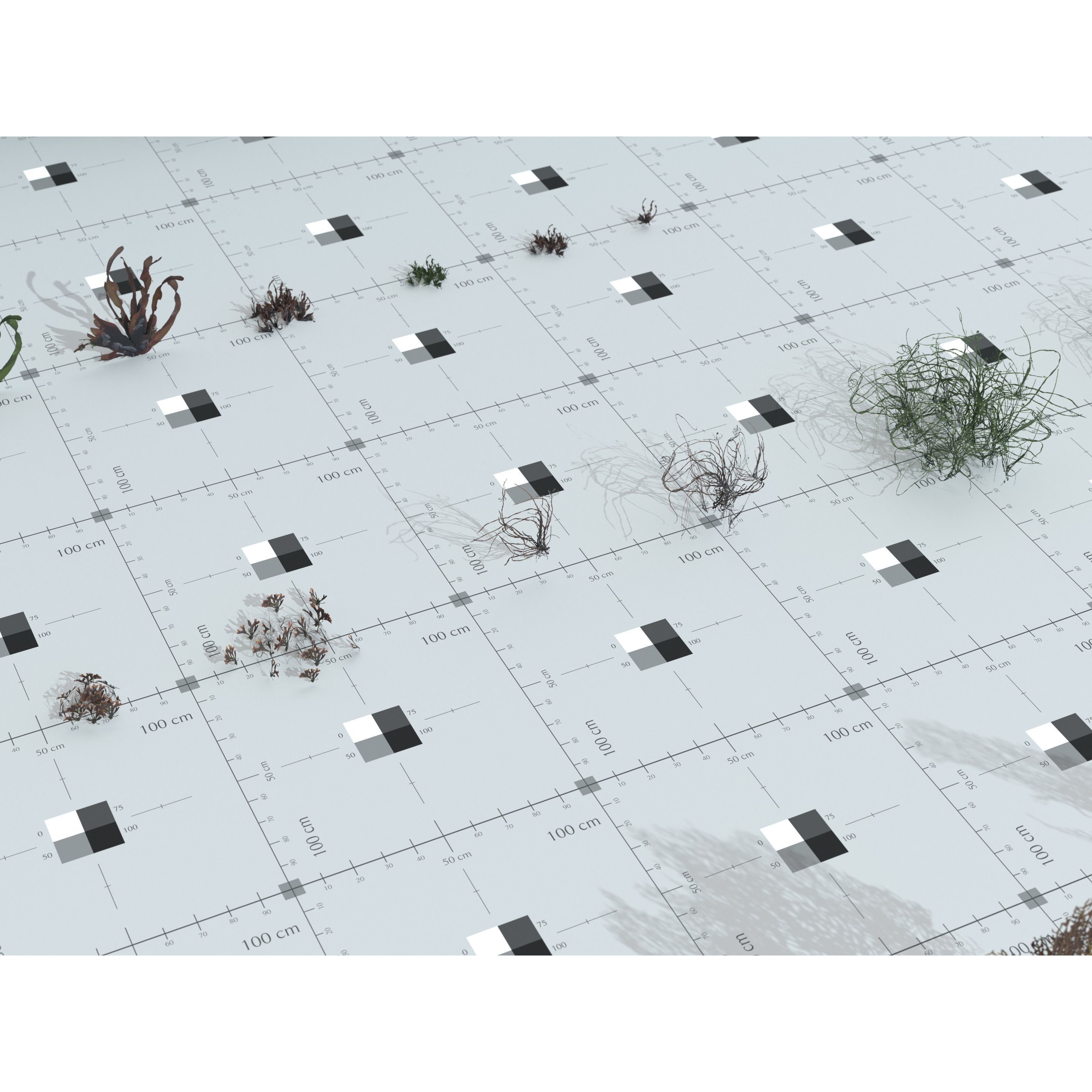 Ocean Plants 3D Model – Low Poly Underwater Flora, FBX, PBR - View 28