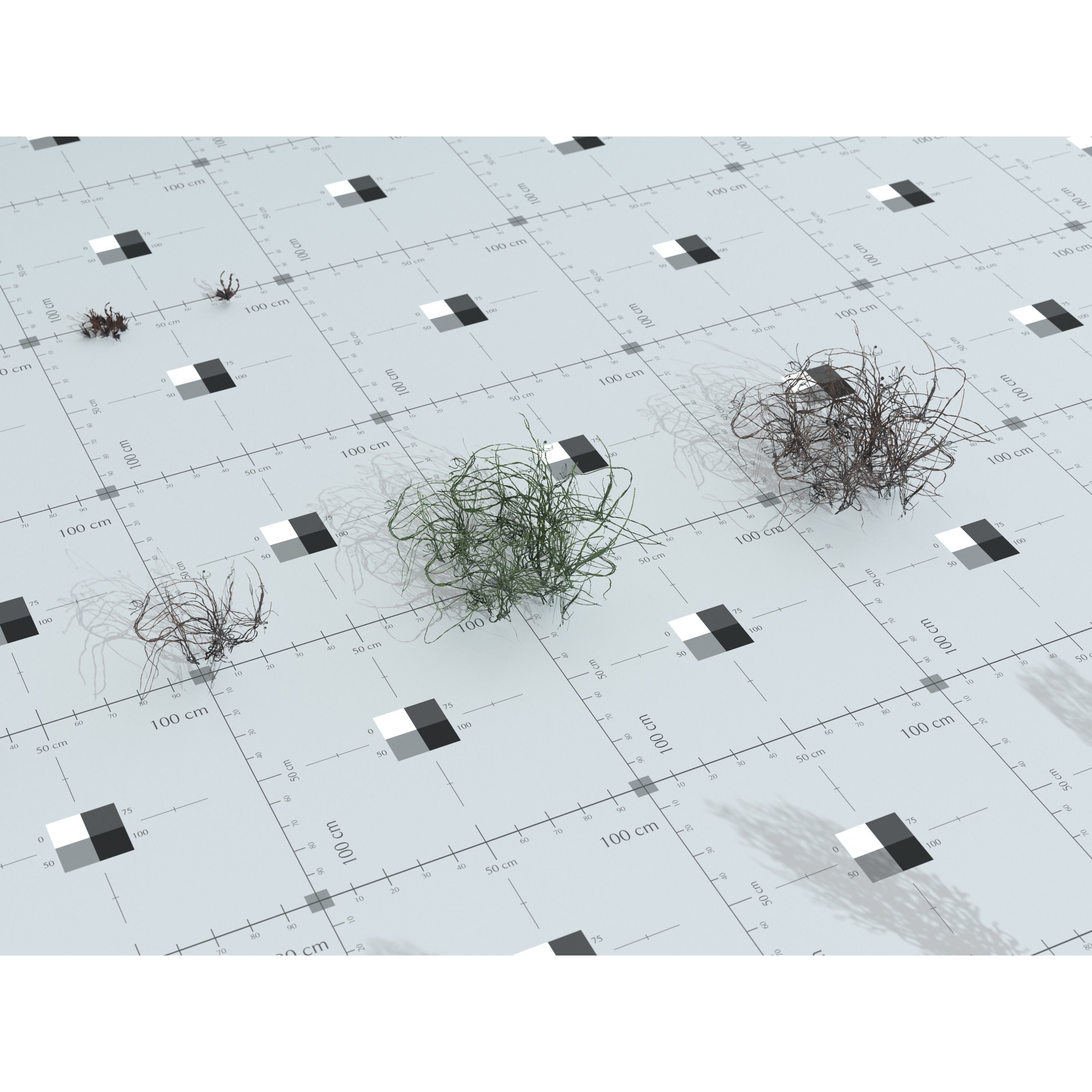 Ocean Plants 3D Model – Low Poly Underwater Flora, FBX, PBR - View 29