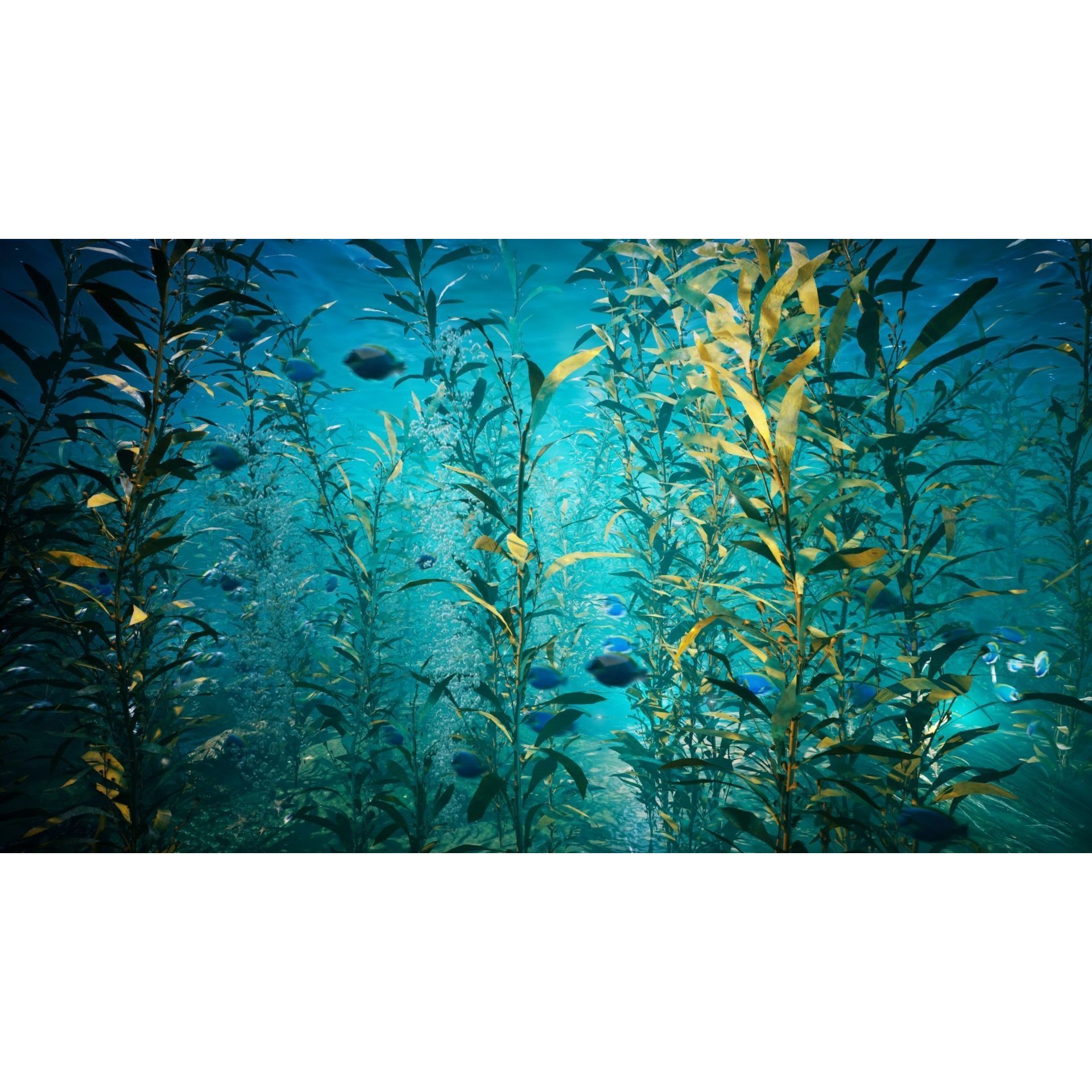 Ocean Plants 3D Model – Low Poly Underwater Flora, FBX, PBR - View 3