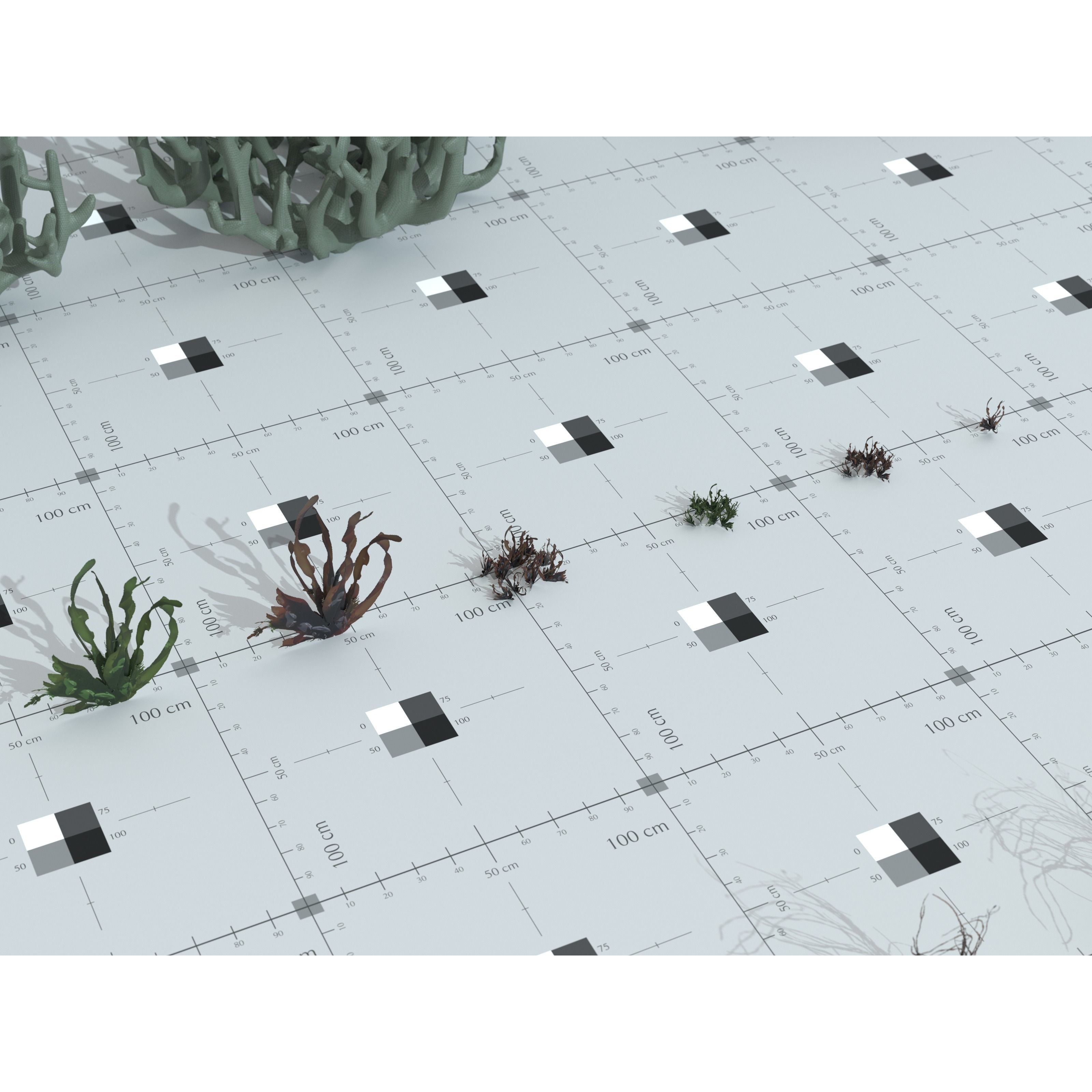 Ocean Plants 3D Model – Low Poly Underwater Flora, FBX, PBR - View 31