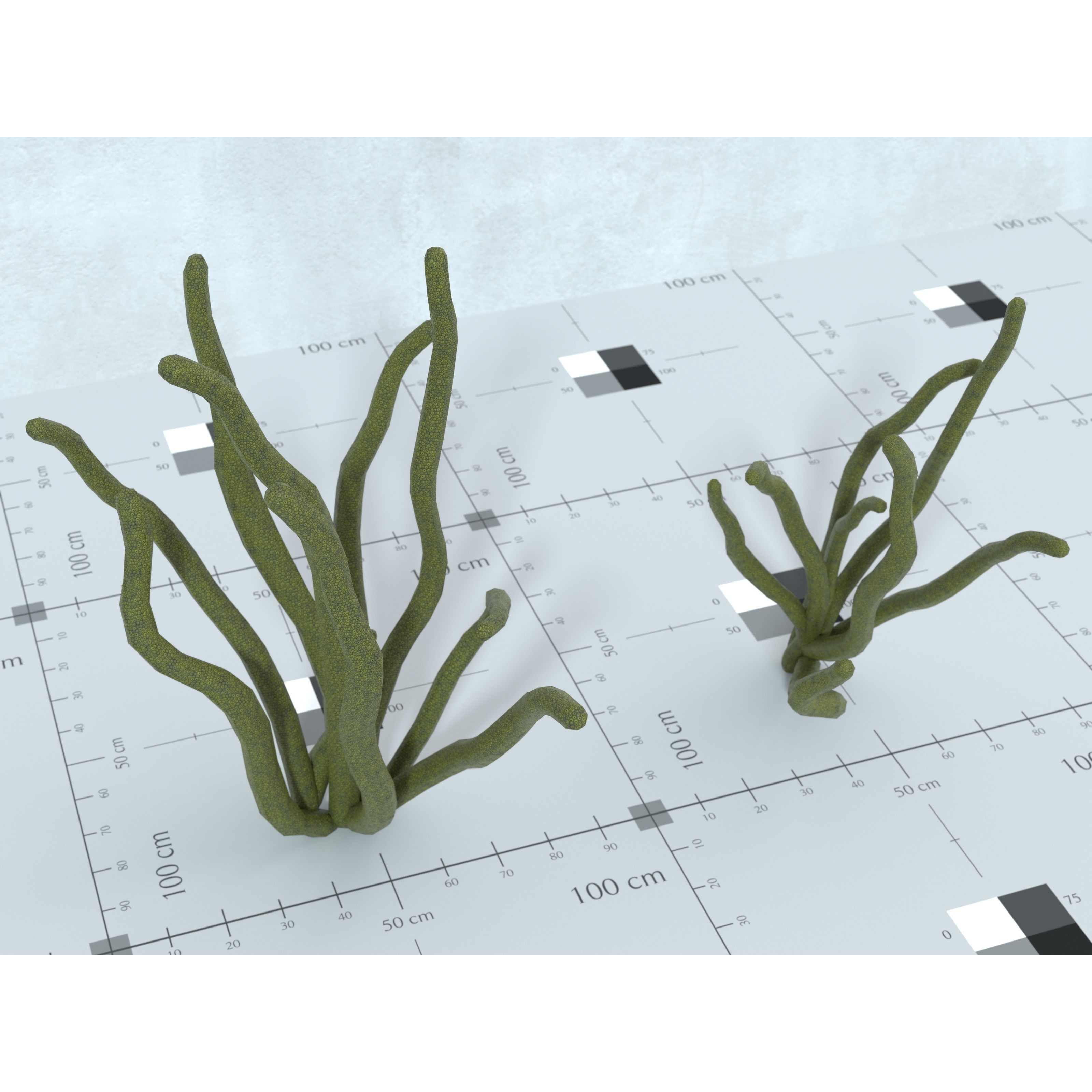 Ocean Plants 3D Model – Low Poly Underwater Flora, FBX, PBR - View 32