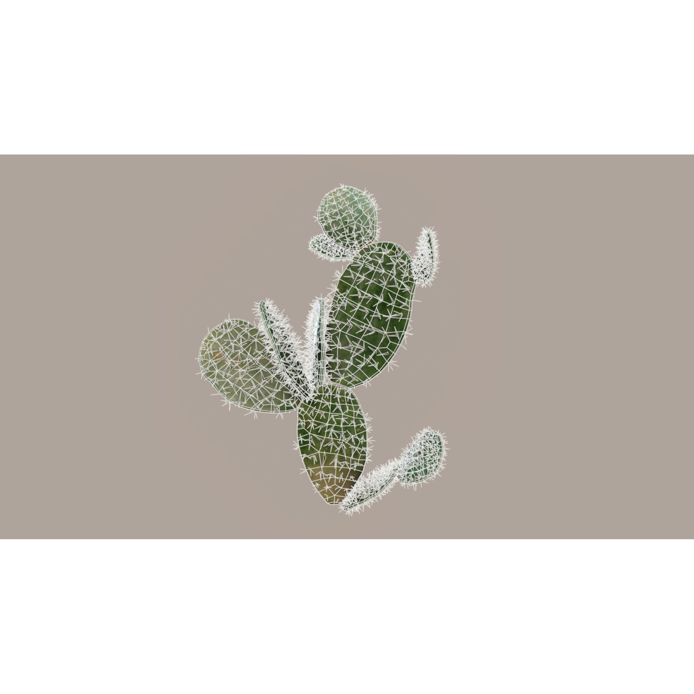 Cacti 3D Model – Low Poly Game Ready Collection, FBX & OBJ