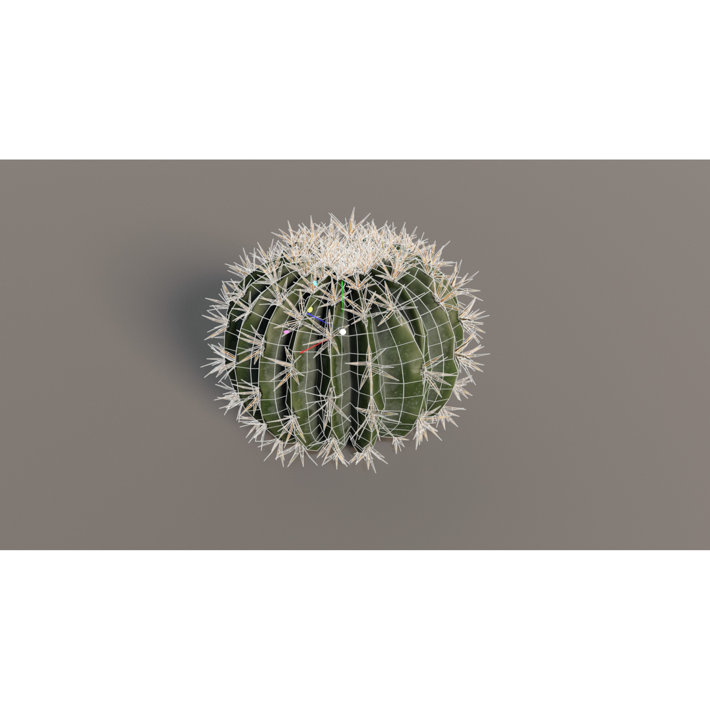 Cacti 3D Model – Low Poly Game Ready Collection, FBX & OBJ - View 10